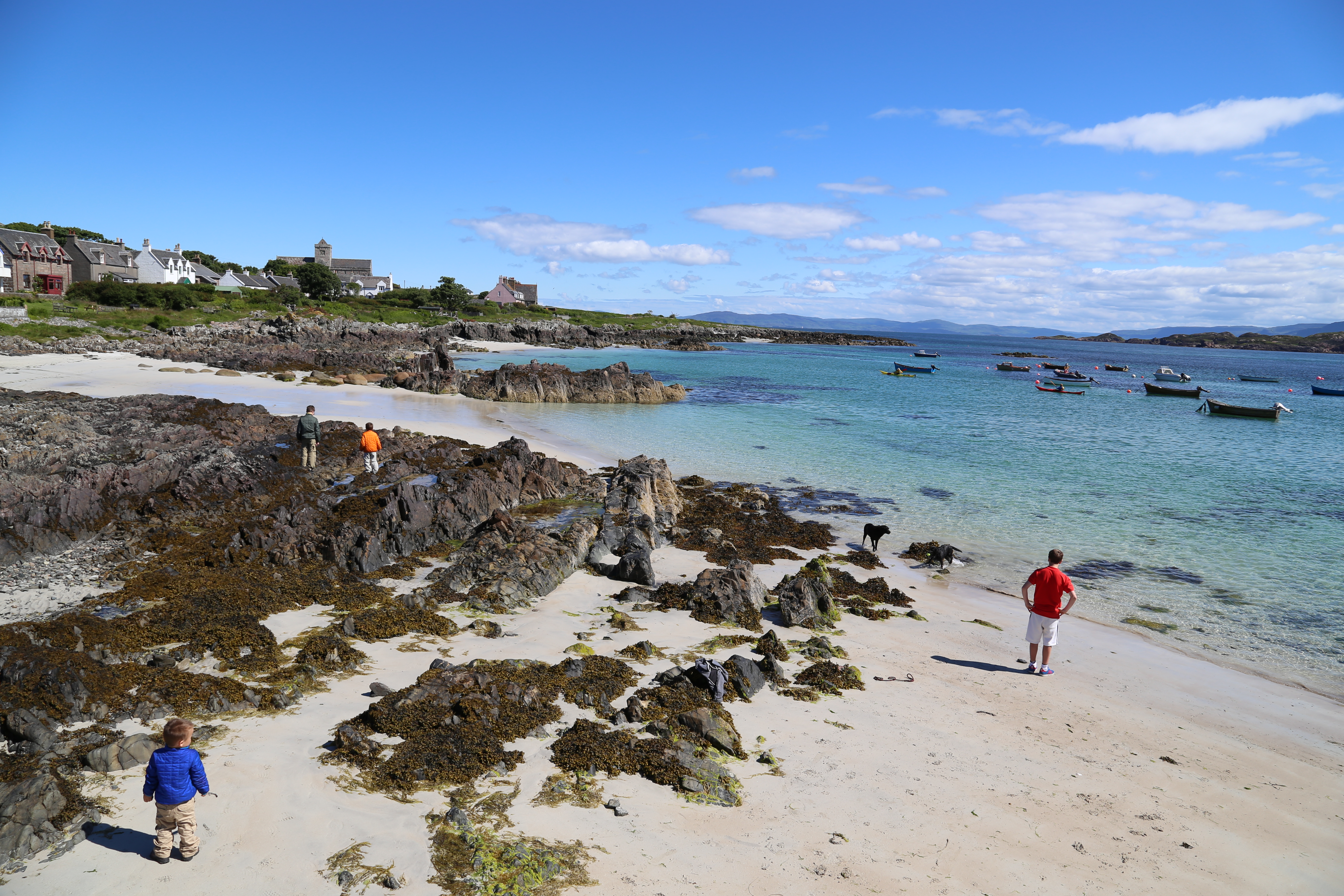 2014 Europe Trip Day 26 - Scotland (Ardachy House Yurt, Heilan' Coo, Fionnphort-Iona Ferry, Iona Nunnery, Iona Abbey (Britain Christianity Birthplace), Scottish Heather, Tobermory-Kilchoan Ferry, Castle Tioram, Glenfinnan Monument, Biting Midges!)