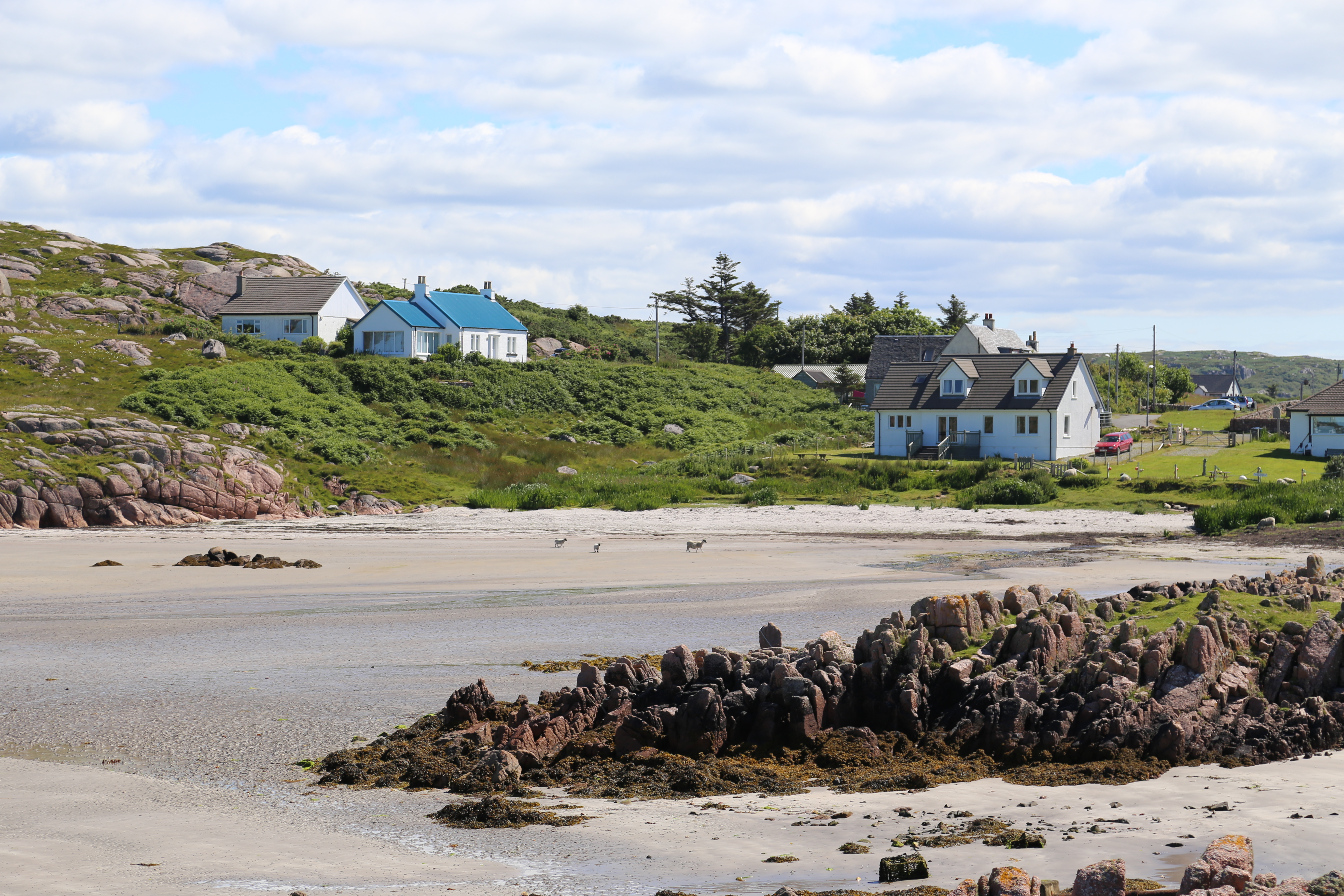 2014 Europe Trip Day 26 - Scotland (Ardachy House Yurt, Heilan' Coo, Fionnphort-Iona Ferry, Iona Nunnery, Iona Abbey (Britain Christianity Birthplace), Scottish Heather, Tobermory-Kilchoan Ferry, Castle Tioram, Glenfinnan Monument, Biting Midges!)