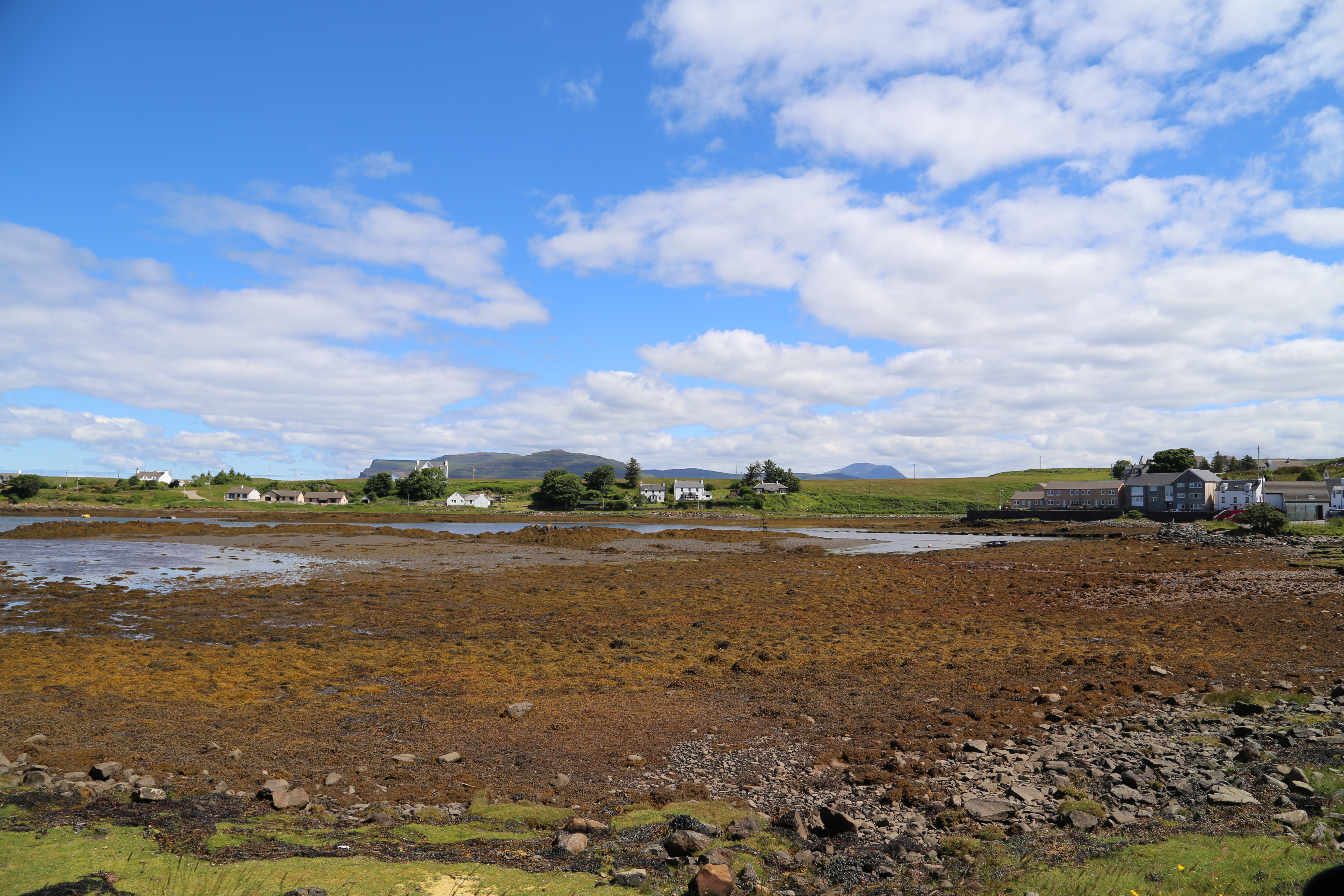 2014 Europe Trip Day 26 - Scotland (Ardachy House Yurt, Heilan' Coo, Fionnphort-Iona Ferry, Iona Nunnery, Iona Abbey (Britain Christianity Birthplace), Scottish Heather, Tobermory-Kilchoan Ferry, Castle Tioram, Glenfinnan Monument, Biting Midges!)