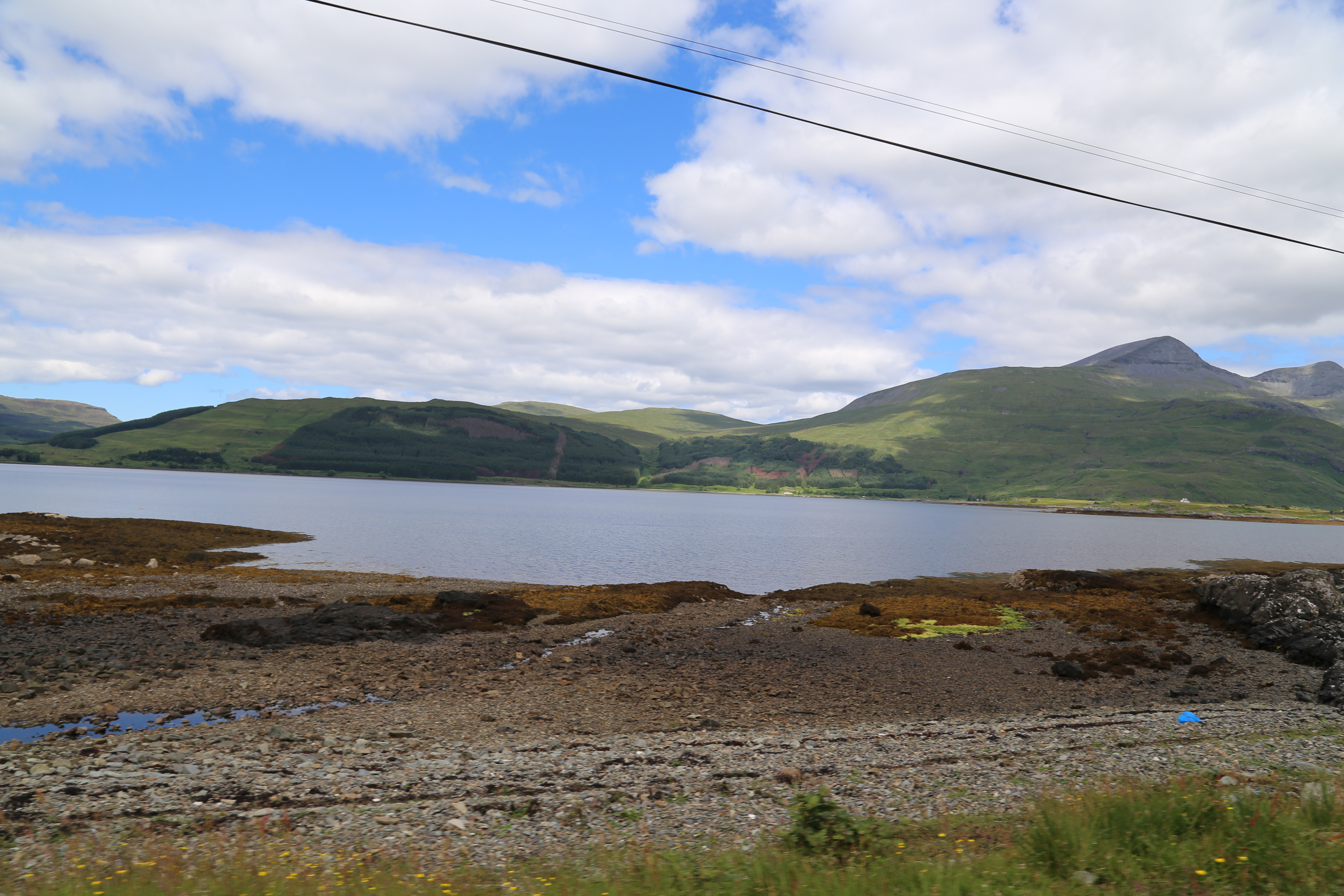 2014 Europe Trip Day 26 - Scotland (Ardachy House Yurt, Heilan' Coo, Fionnphort-Iona Ferry, Iona Nunnery, Iona Abbey (Britain Christianity Birthplace), Scottish Heather, Tobermory-Kilchoan Ferry, Castle Tioram, Glenfinnan Monument, Biting Midges!)