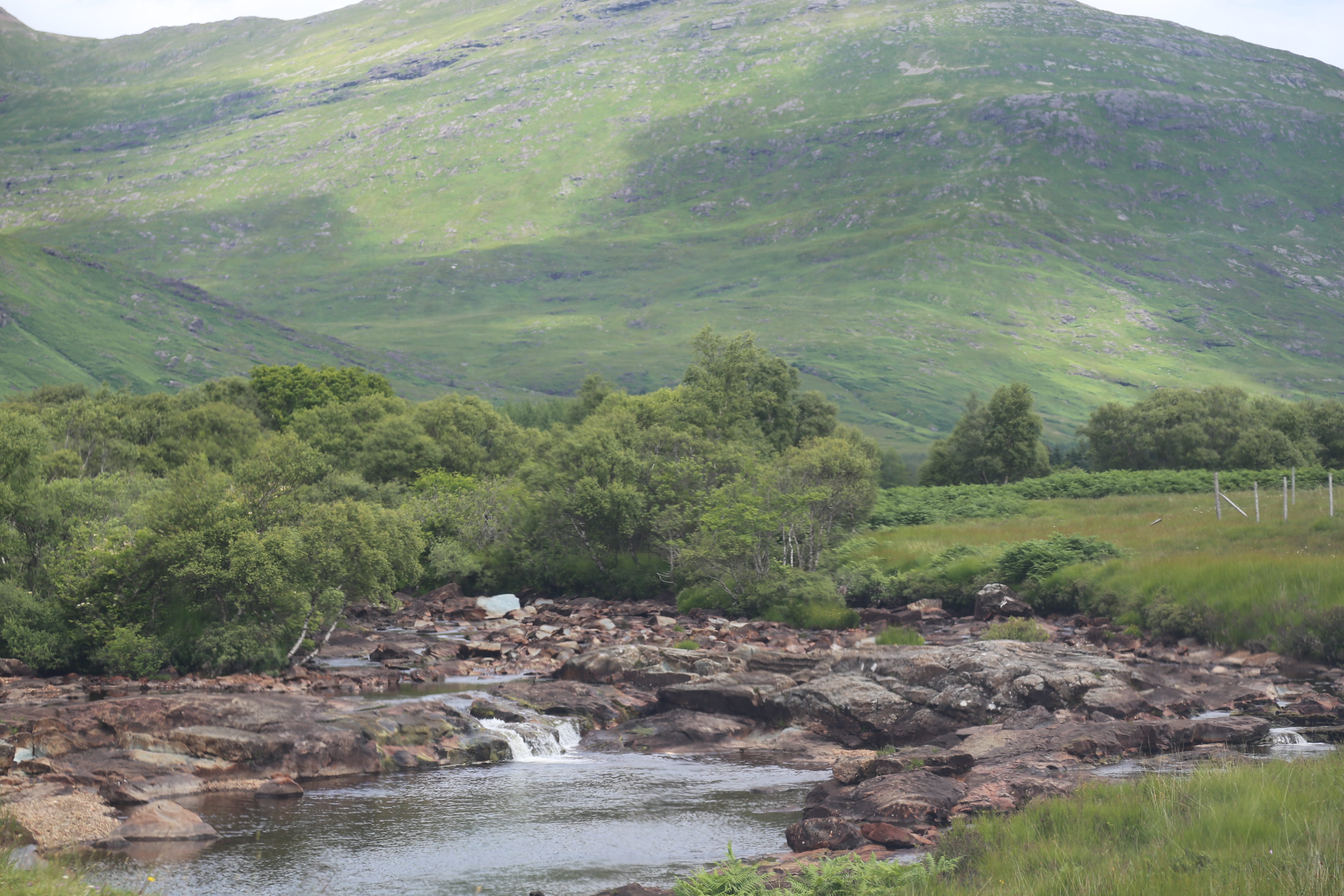 2014 Europe Trip Day 26 - Scotland (Ardachy House Yurt, Heilan' Coo, Fionnphort-Iona Ferry, Iona Nunnery, Iona Abbey (Britain Christianity Birthplace), Scottish Heather, Tobermory-Kilchoan Ferry, Castle Tioram, Glenfinnan Monument, Biting Midges!)