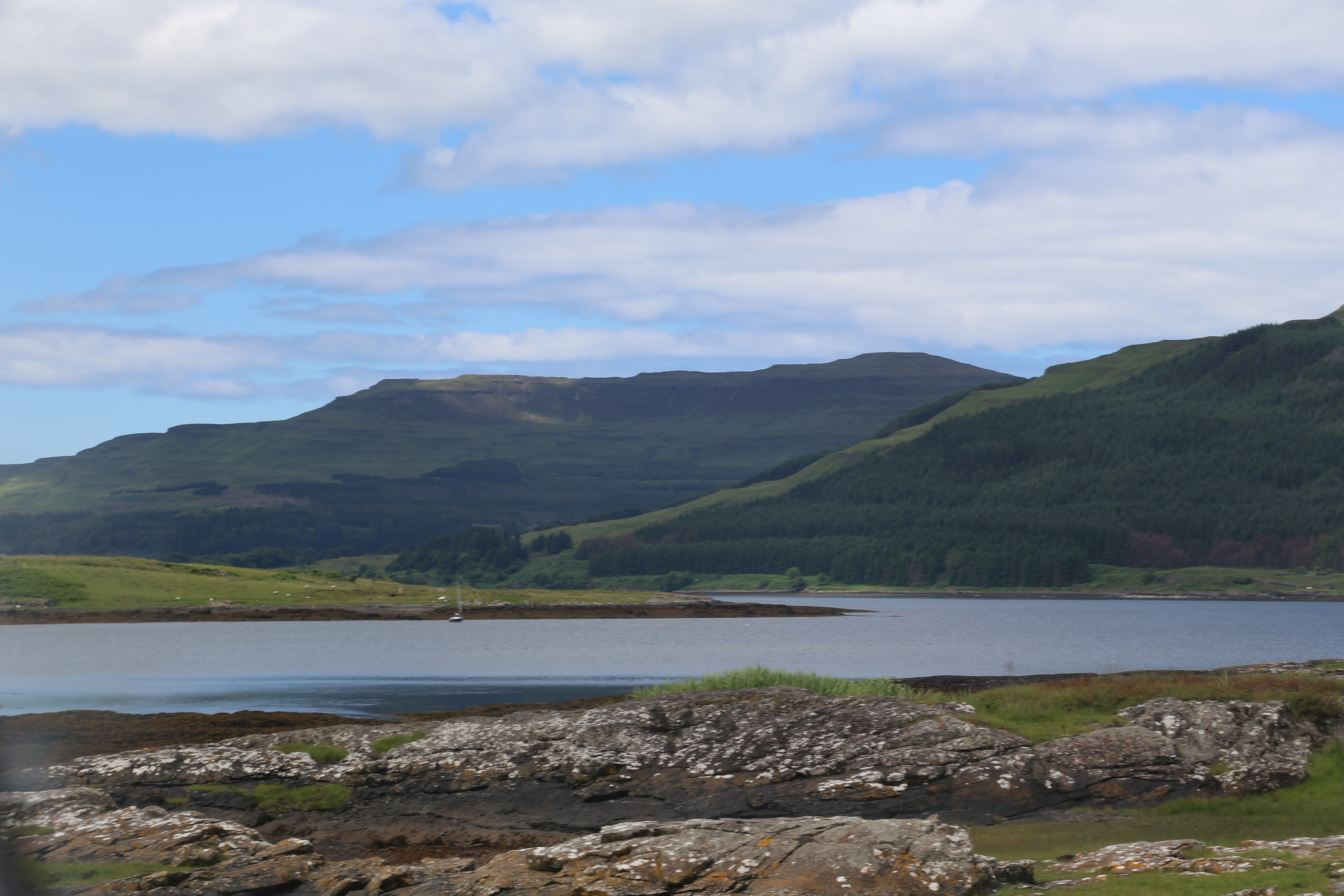 2014 Europe Trip Day 26 - Scotland (Ardachy House Yurt, Heilan' Coo, Fionnphort-Iona Ferry, Iona Nunnery, Iona Abbey (Britain Christianity Birthplace), Scottish Heather, Tobermory-Kilchoan Ferry, Castle Tioram, Glenfinnan Monument, Biting Midges!)