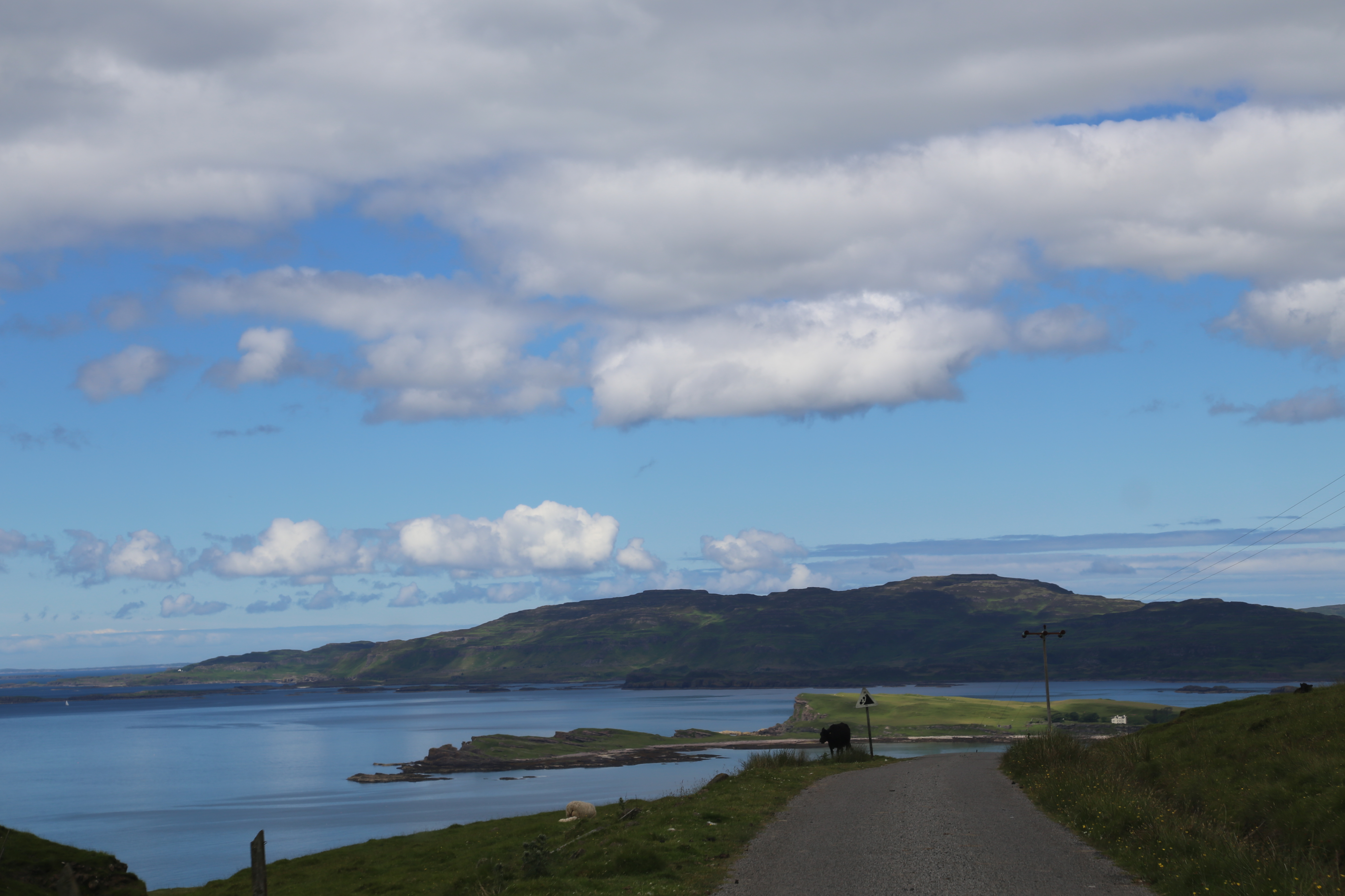 2014 Europe Trip Day 26 - Scotland (Ardachy House Yurt, Heilan' Coo, Fionnphort-Iona Ferry, Iona Nunnery, Iona Abbey (Britain Christianity Birthplace), Scottish Heather, Tobermory-Kilchoan Ferry, Castle Tioram, Glenfinnan Monument, Biting Midges!)