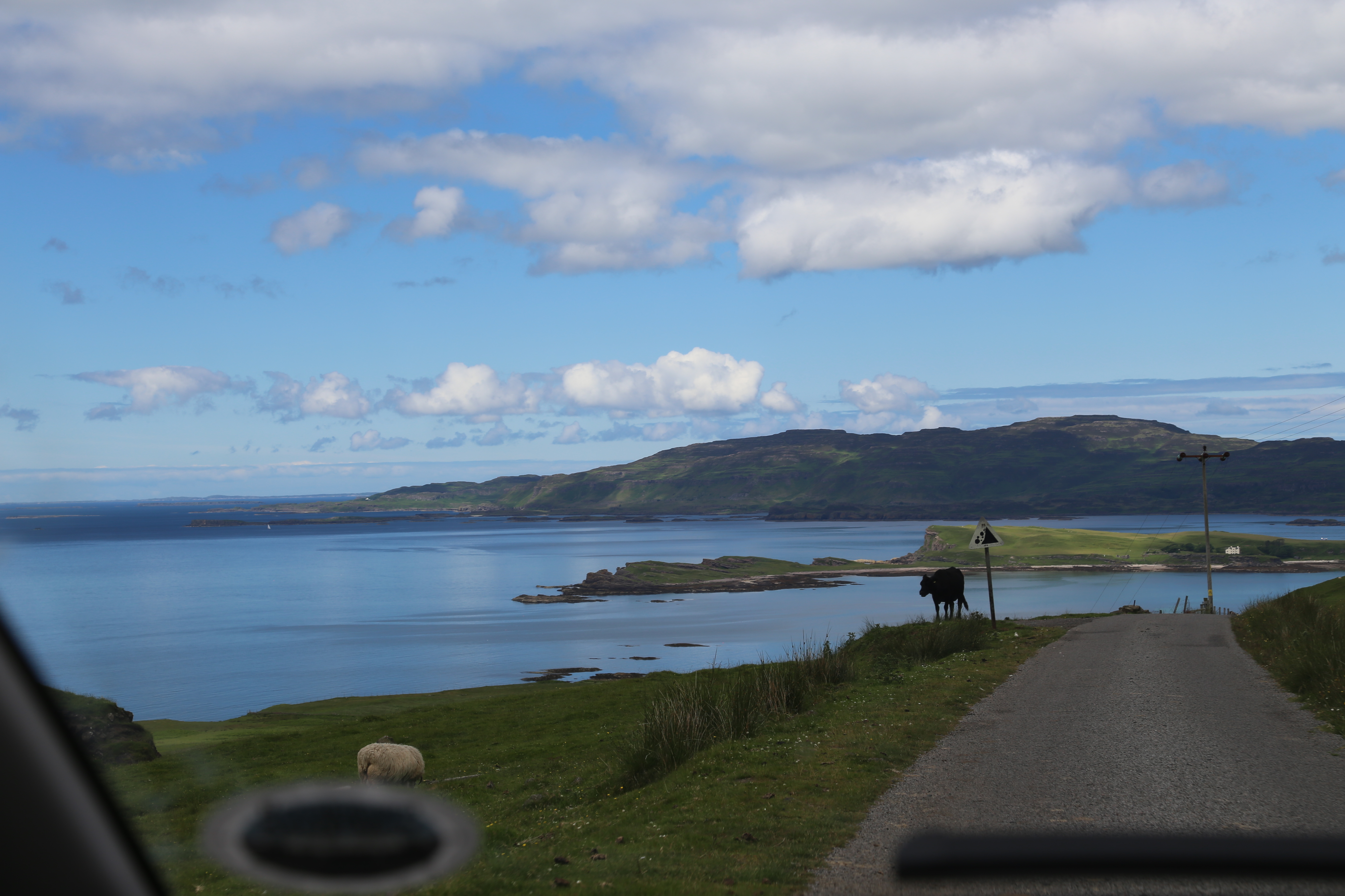 2014 Europe Trip Day 26 - Scotland (Ardachy House Yurt, Heilan' Coo, Fionnphort-Iona Ferry, Iona Nunnery, Iona Abbey (Britain Christianity Birthplace), Scottish Heather, Tobermory-Kilchoan Ferry, Castle Tioram, Glenfinnan Monument, Biting Midges!)