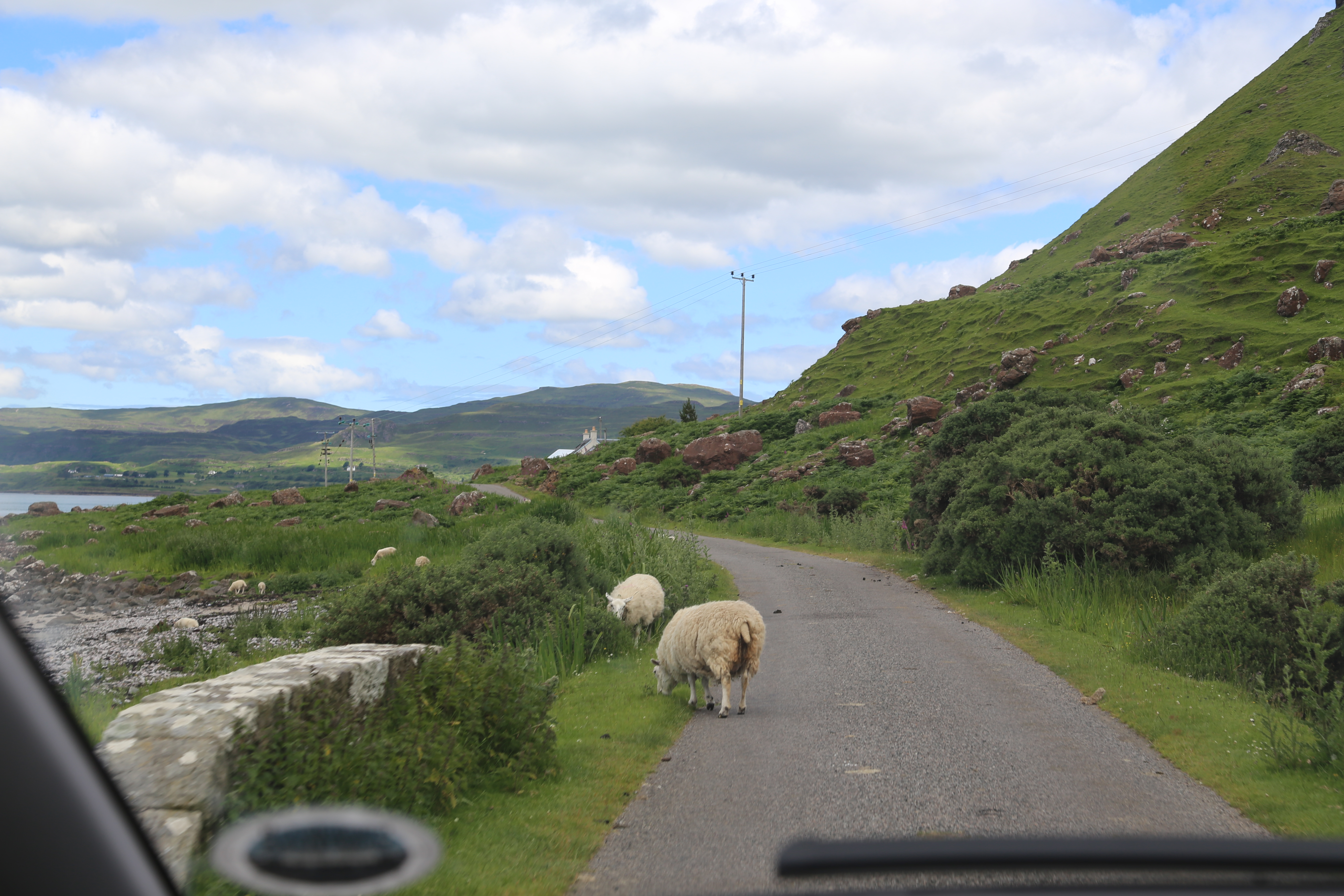 2014 Europe Trip Day 26 - Scotland (Ardachy House Yurt, Heilan' Coo, Fionnphort-Iona Ferry, Iona Nunnery, Iona Abbey (Britain Christianity Birthplace), Scottish Heather, Tobermory-Kilchoan Ferry, Castle Tioram, Glenfinnan Monument, Biting Midges!)