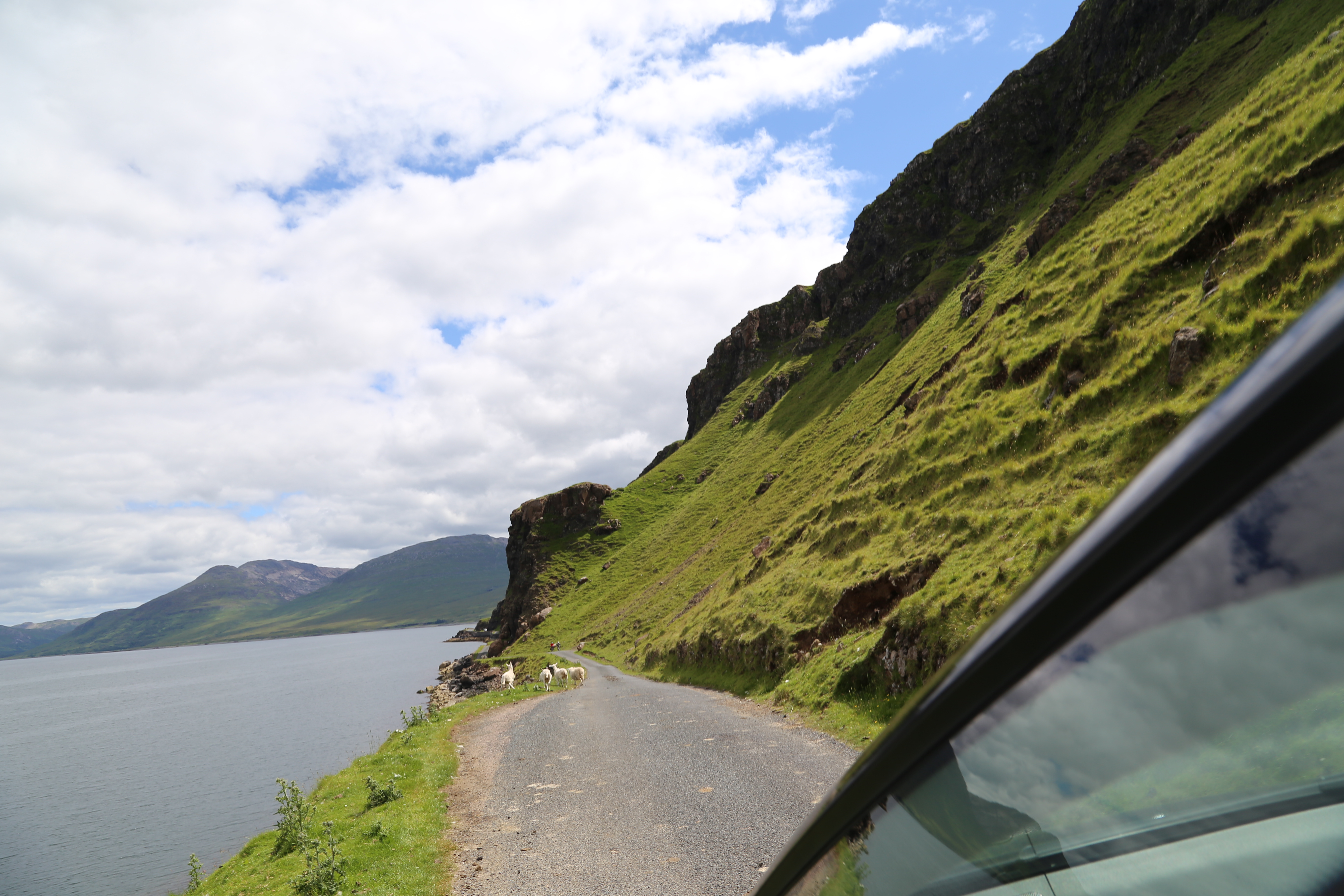 2014 Europe Trip Day 26 - Scotland (Ardachy House Yurt, Heilan' Coo, Fionnphort-Iona Ferry, Iona Nunnery, Iona Abbey (Britain Christianity Birthplace), Scottish Heather, Tobermory-Kilchoan Ferry, Castle Tioram, Glenfinnan Monument, Biting Midges!)