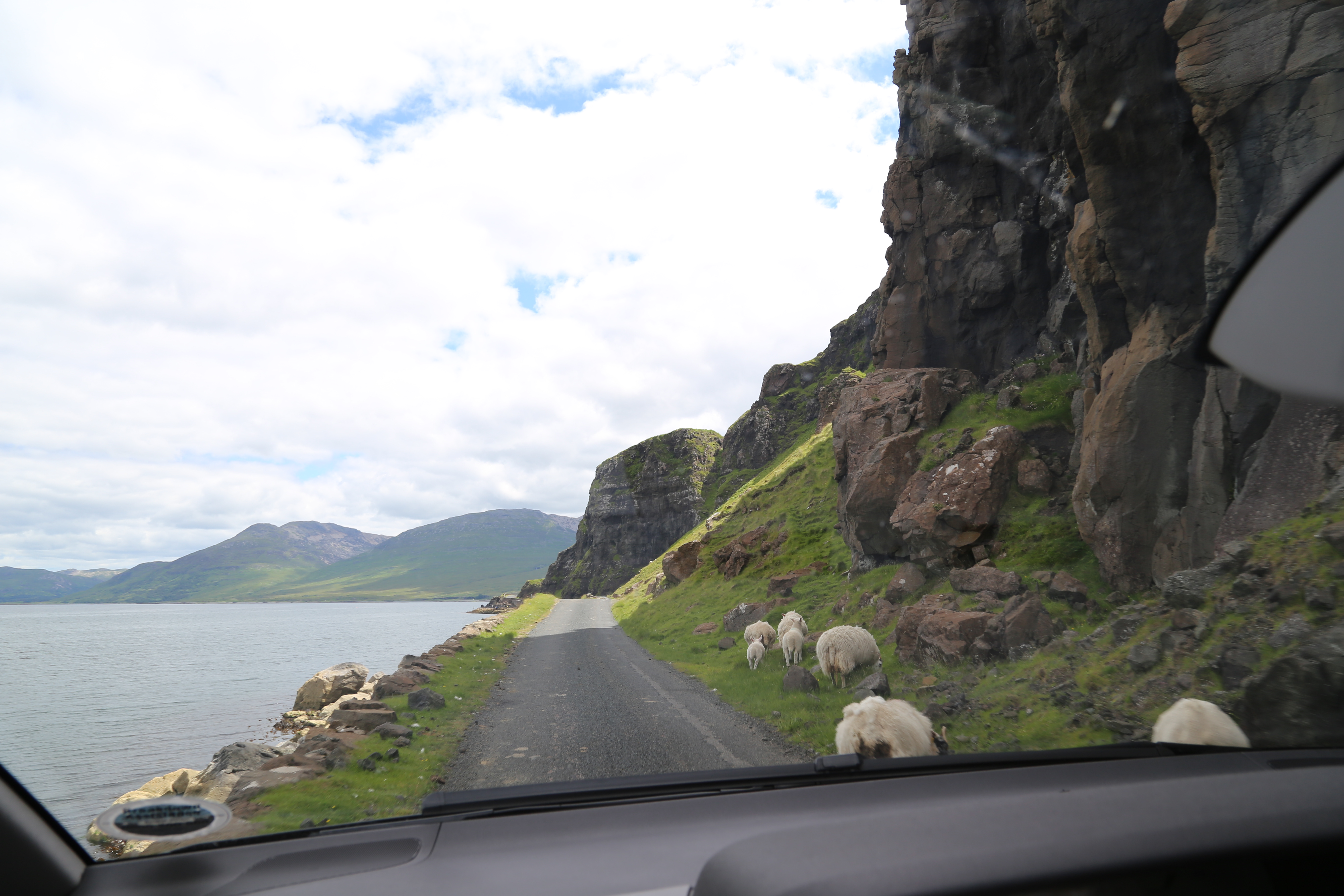 2014 Europe Trip Day 26 - Scotland (Ardachy House Yurt, Heilan' Coo, Fionnphort-Iona Ferry, Iona Nunnery, Iona Abbey (Britain Christianity Birthplace), Scottish Heather, Tobermory-Kilchoan Ferry, Castle Tioram, Glenfinnan Monument, Biting Midges!)