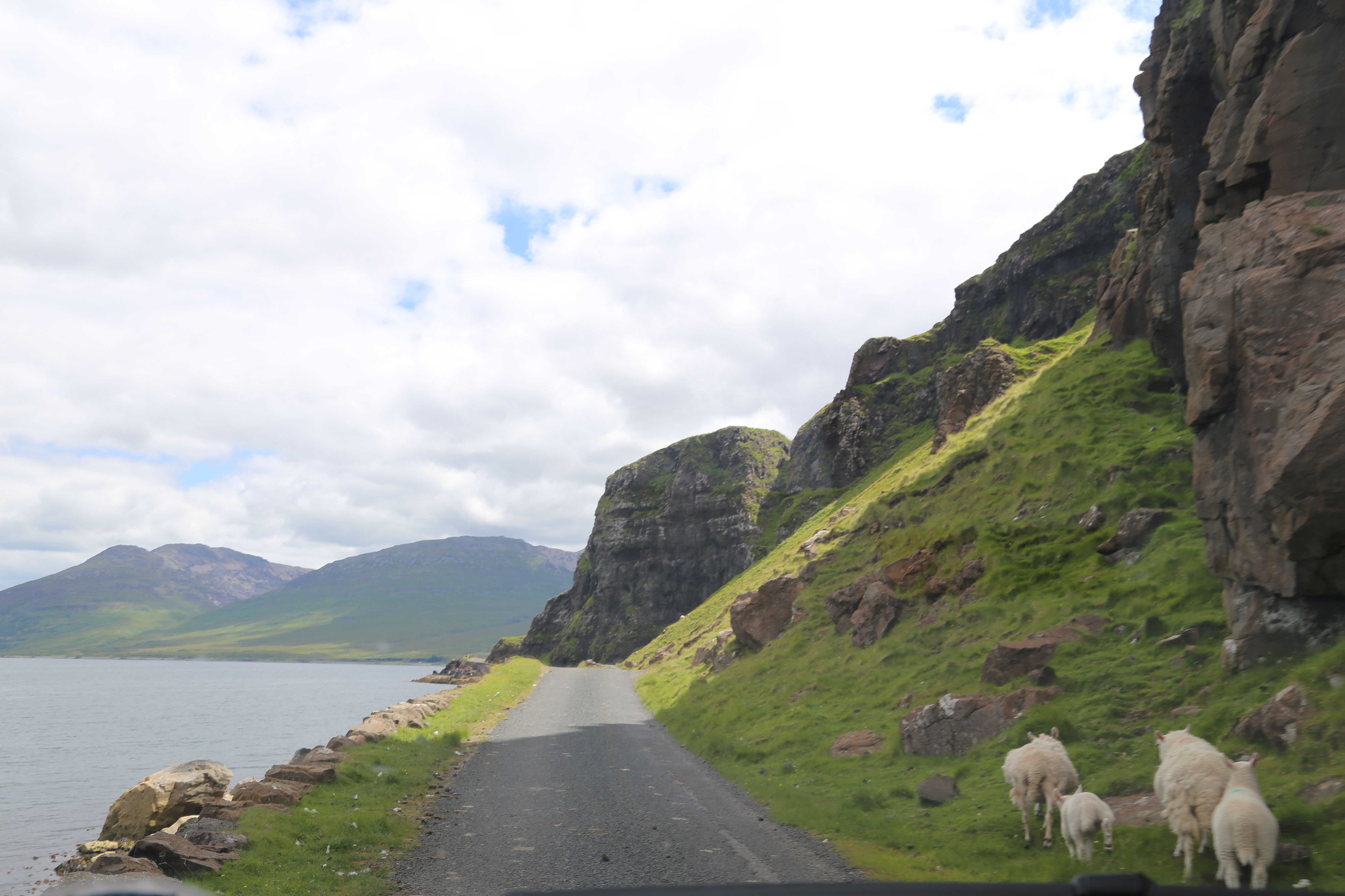 2014 Europe Trip Day 26 - Scotland (Ardachy House Yurt, Heilan' Coo, Fionnphort-Iona Ferry, Iona Nunnery, Iona Abbey (Britain Christianity Birthplace), Scottish Heather, Tobermory-Kilchoan Ferry, Castle Tioram, Glenfinnan Monument, Biting Midges!)