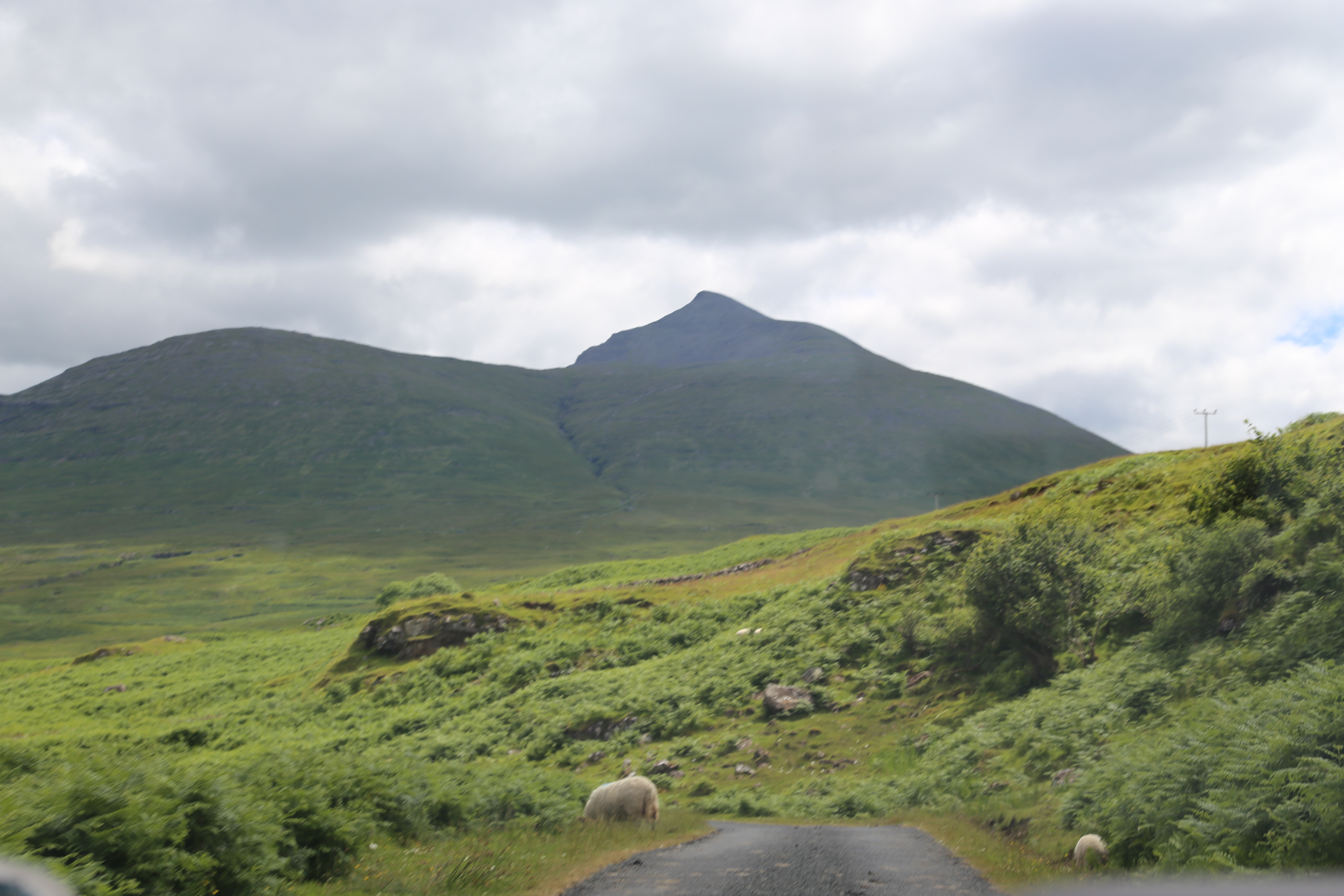 2014 Europe Trip Day 26 - Scotland (Ardachy House Yurt, Heilan' Coo, Fionnphort-Iona Ferry, Iona Nunnery, Iona Abbey (Britain Christianity Birthplace), Scottish Heather, Tobermory-Kilchoan Ferry, Castle Tioram, Glenfinnan Monument, Biting Midges!)