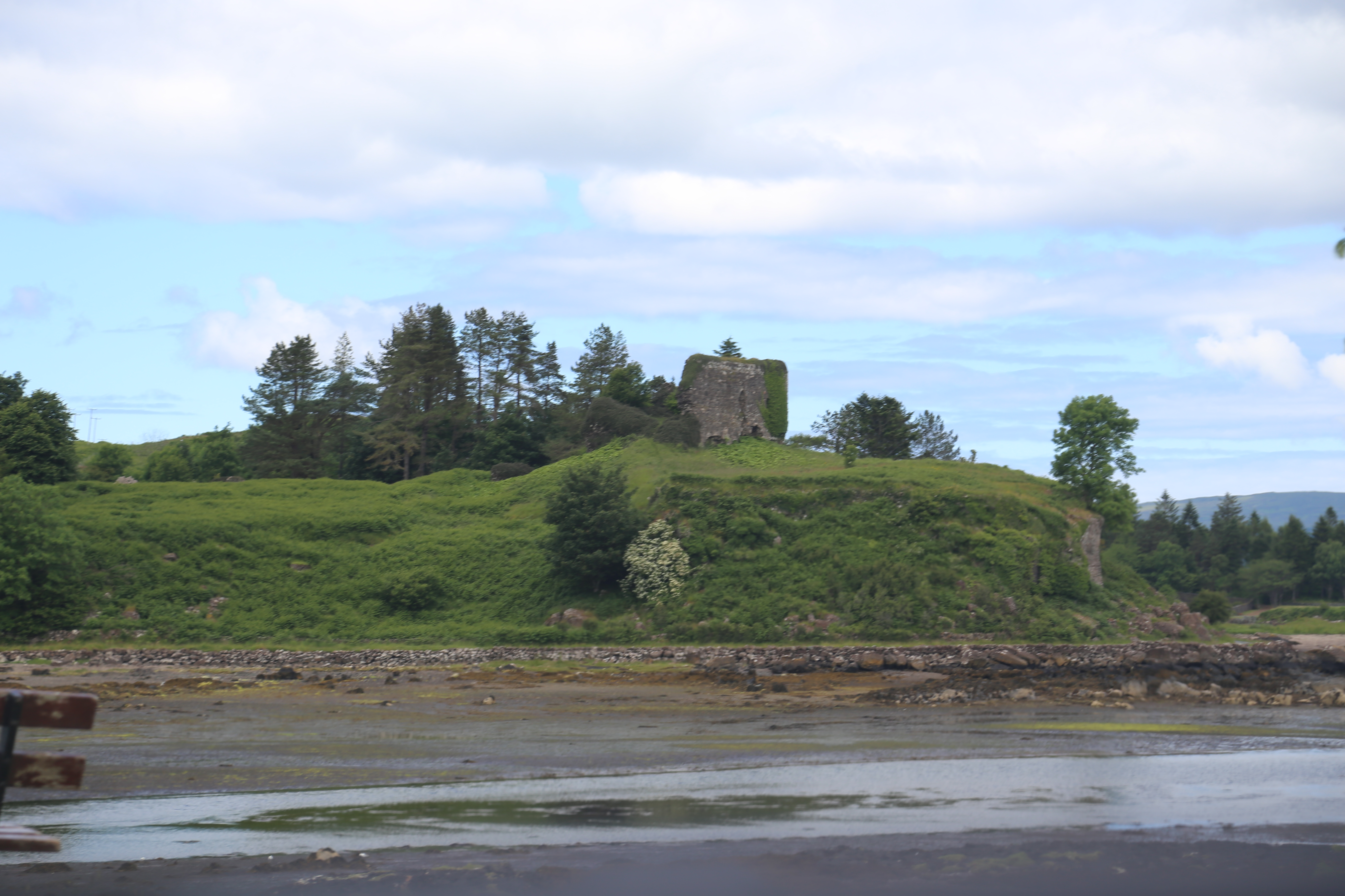 2014 Europe Trip Day 26 - Scotland (Ardachy House Yurt, Heilan' Coo, Fionnphort-Iona Ferry, Iona Nunnery, Iona Abbey (Britain Christianity Birthplace), Scottish Heather, Tobermory-Kilchoan Ferry, Castle Tioram, Glenfinnan Monument, Biting Midges!)