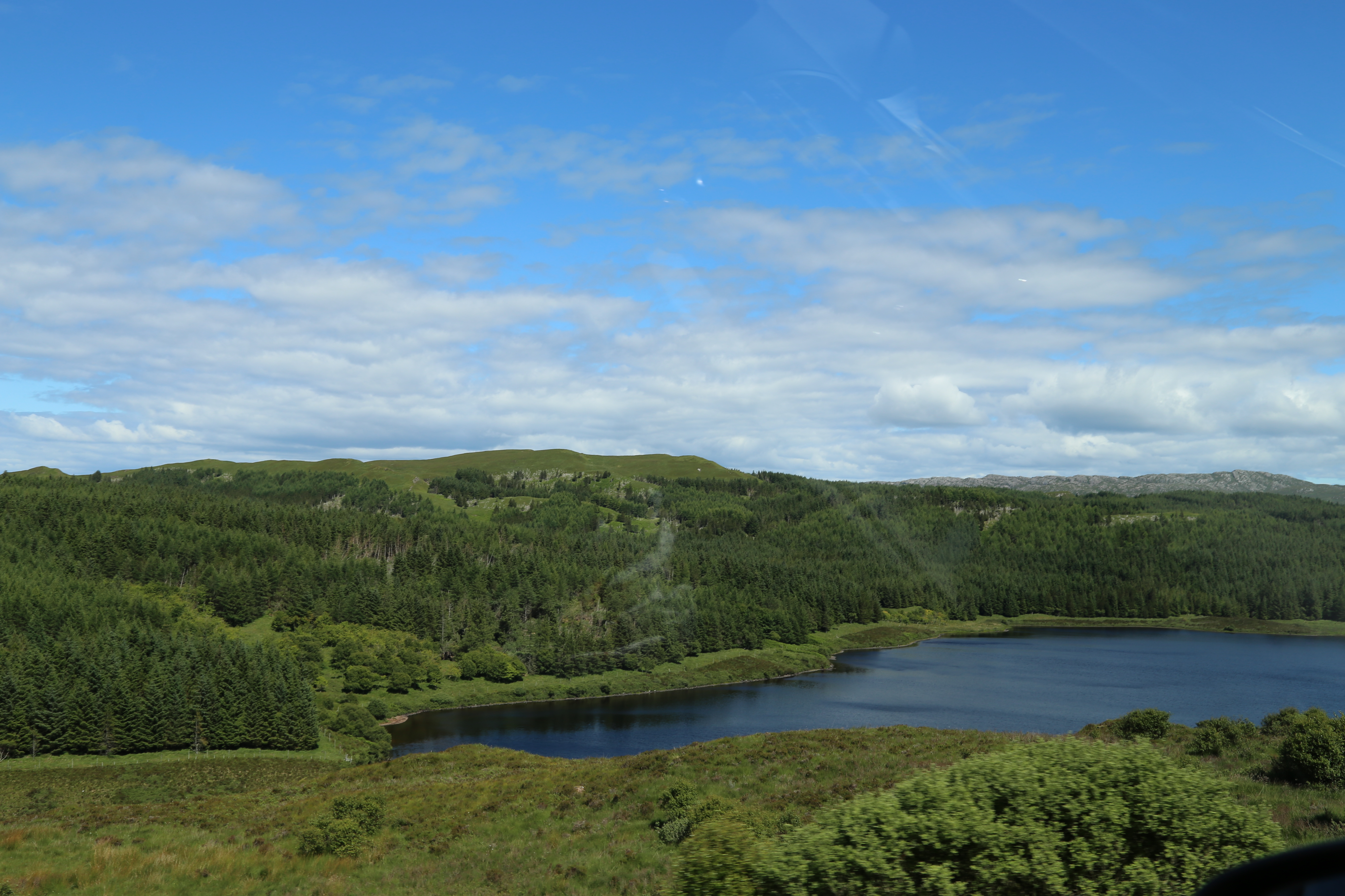 2014 Europe Trip Day 26 - Scotland (Ardachy House Yurt, Heilan' Coo, Fionnphort-Iona Ferry, Iona Nunnery, Iona Abbey (Britain Christianity Birthplace), Scottish Heather, Tobermory-Kilchoan Ferry, Castle Tioram, Glenfinnan Monument, Biting Midges!)