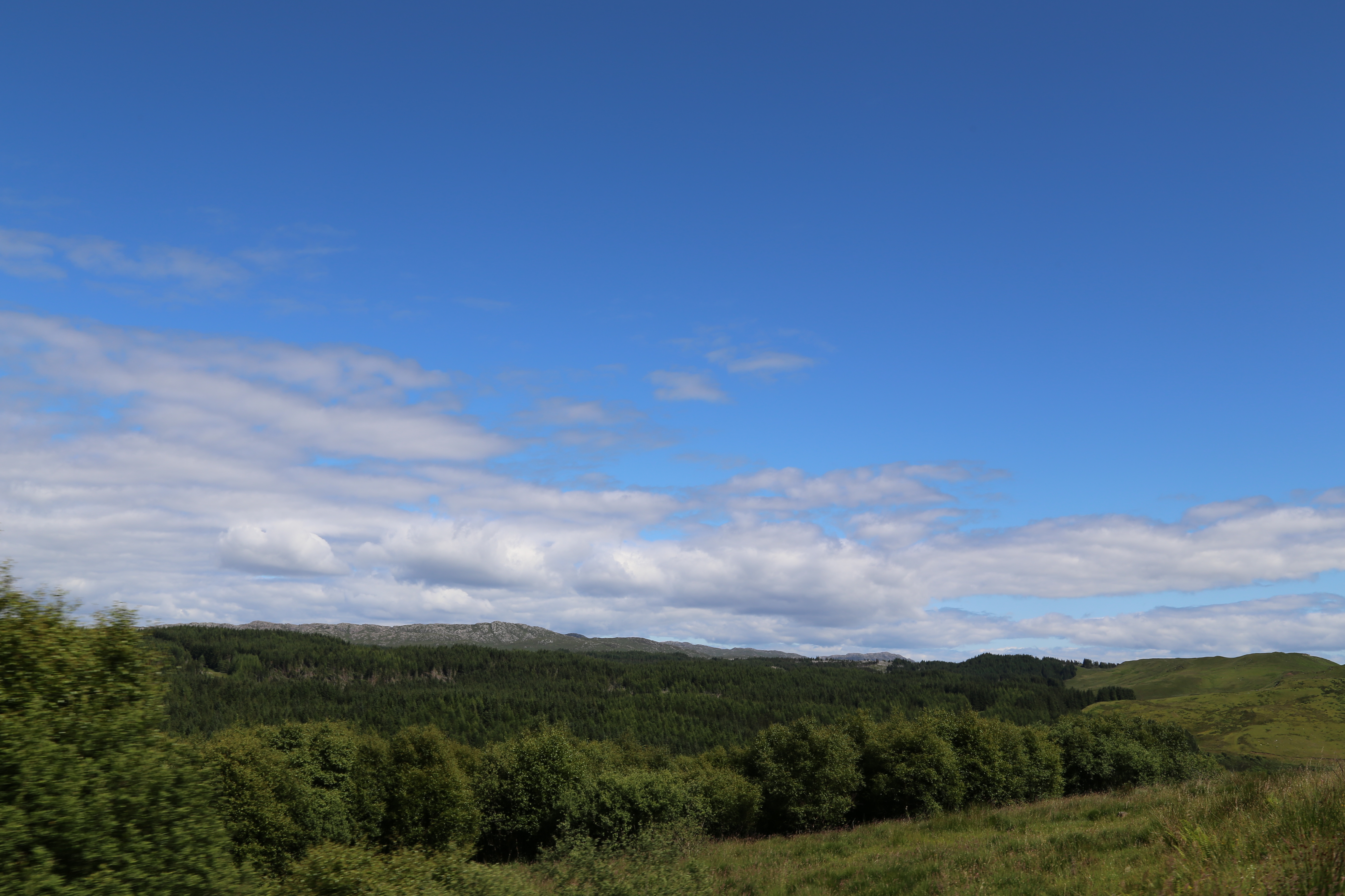 2014 Europe Trip Day 26 - Scotland (Ardachy House Yurt, Heilan' Coo, Fionnphort-Iona Ferry, Iona Nunnery, Iona Abbey (Britain Christianity Birthplace), Scottish Heather, Tobermory-Kilchoan Ferry, Castle Tioram, Glenfinnan Monument, Biting Midges!)