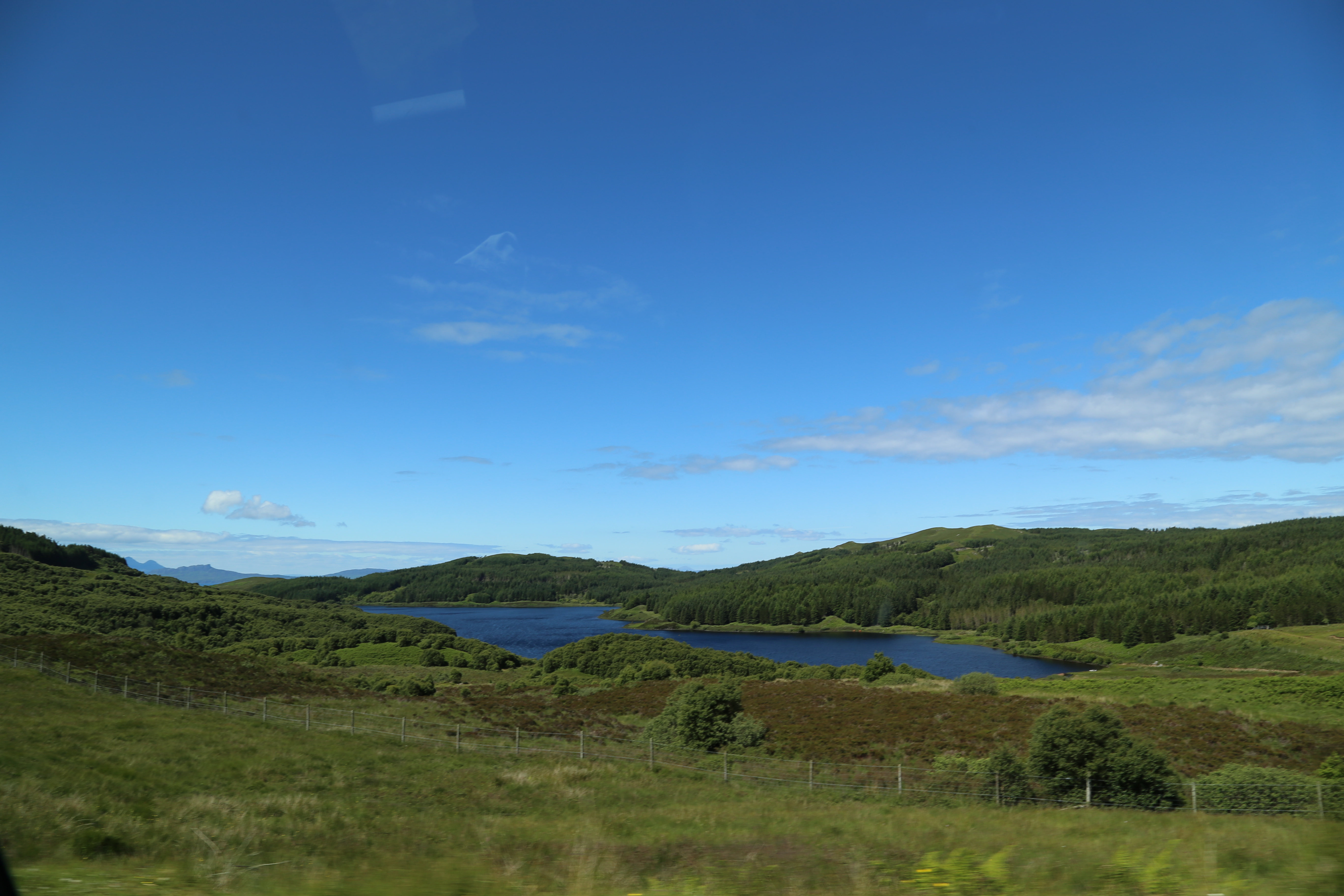 2014 Europe Trip Day 26 - Scotland (Ardachy House Yurt, Heilan' Coo, Fionnphort-Iona Ferry, Iona Nunnery, Iona Abbey (Britain Christianity Birthplace), Scottish Heather, Tobermory-Kilchoan Ferry, Castle Tioram, Glenfinnan Monument, Biting Midges!)