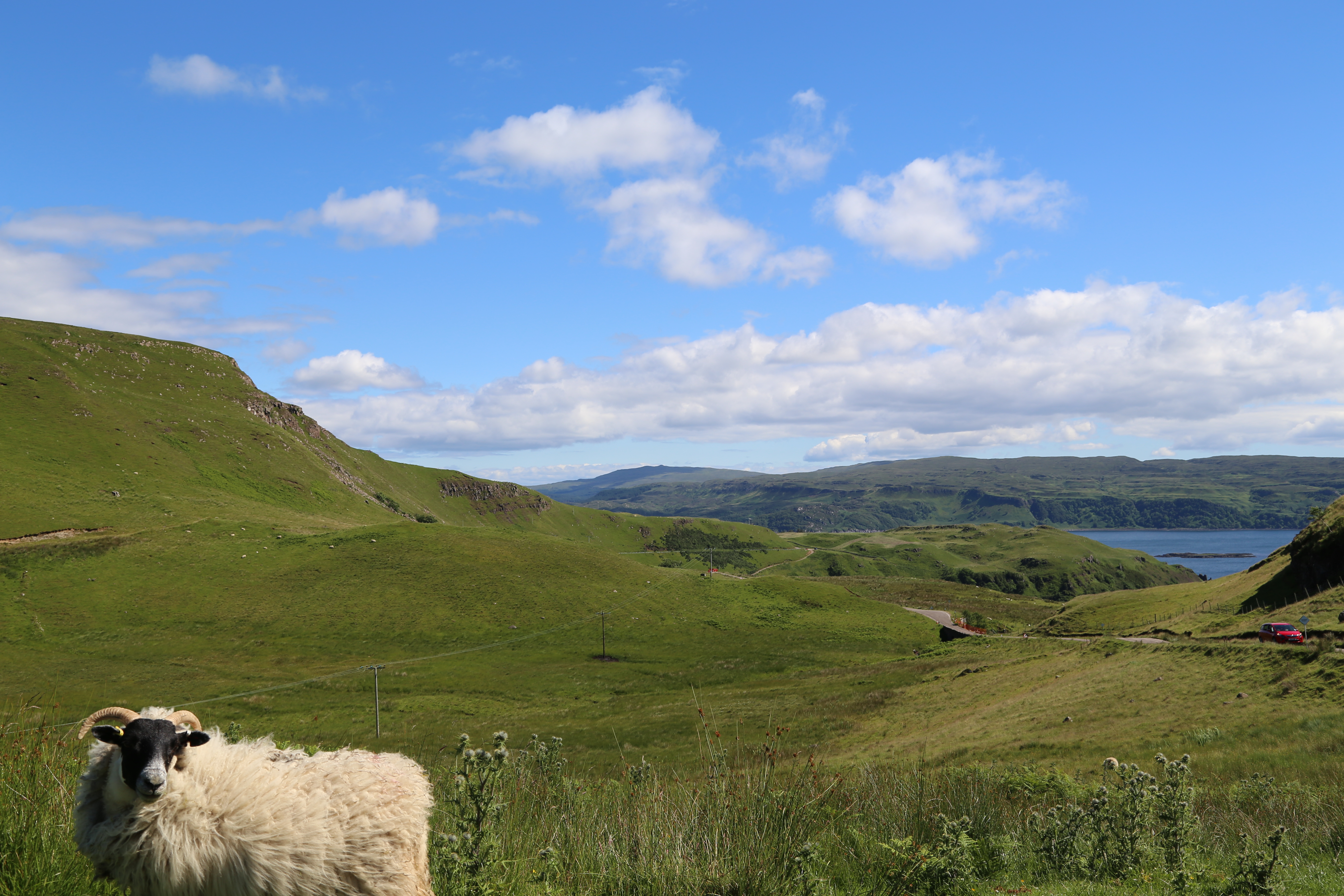 2014 Europe Trip Day 26 - Scotland (Ardachy House Yurt, Heilan' Coo, Fionnphort-Iona Ferry, Iona Nunnery, Iona Abbey (Britain Christianity Birthplace), Scottish Heather, Tobermory-Kilchoan Ferry, Castle Tioram, Glenfinnan Monument, Biting Midges!)