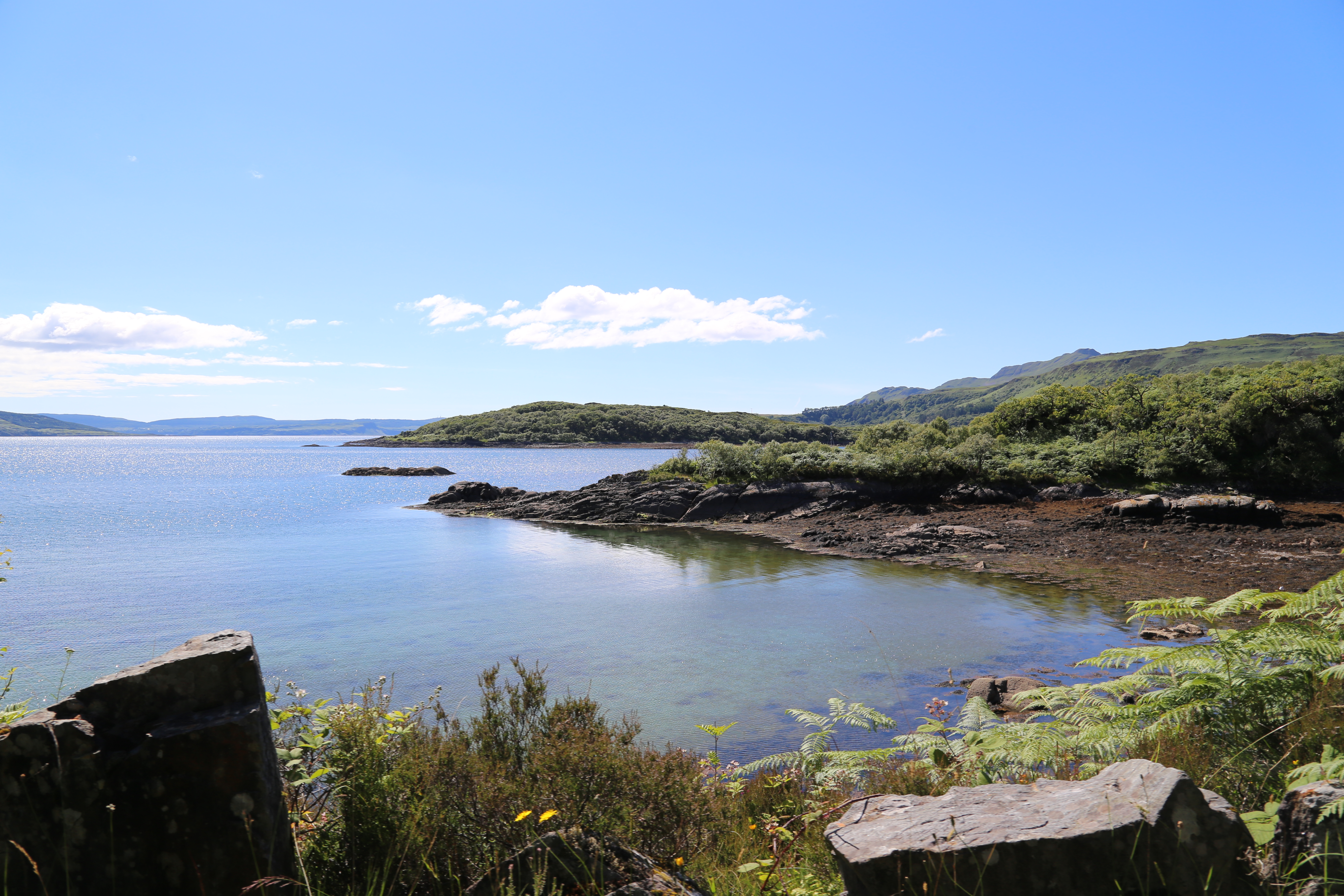 2014 Europe Trip Day 26 - Scotland (Ardachy House Yurt, Heilan' Coo, Fionnphort-Iona Ferry, Iona Nunnery, Iona Abbey (Britain Christianity Birthplace), Scottish Heather, Tobermory-Kilchoan Ferry, Castle Tioram, Glenfinnan Monument, Biting Midges!)