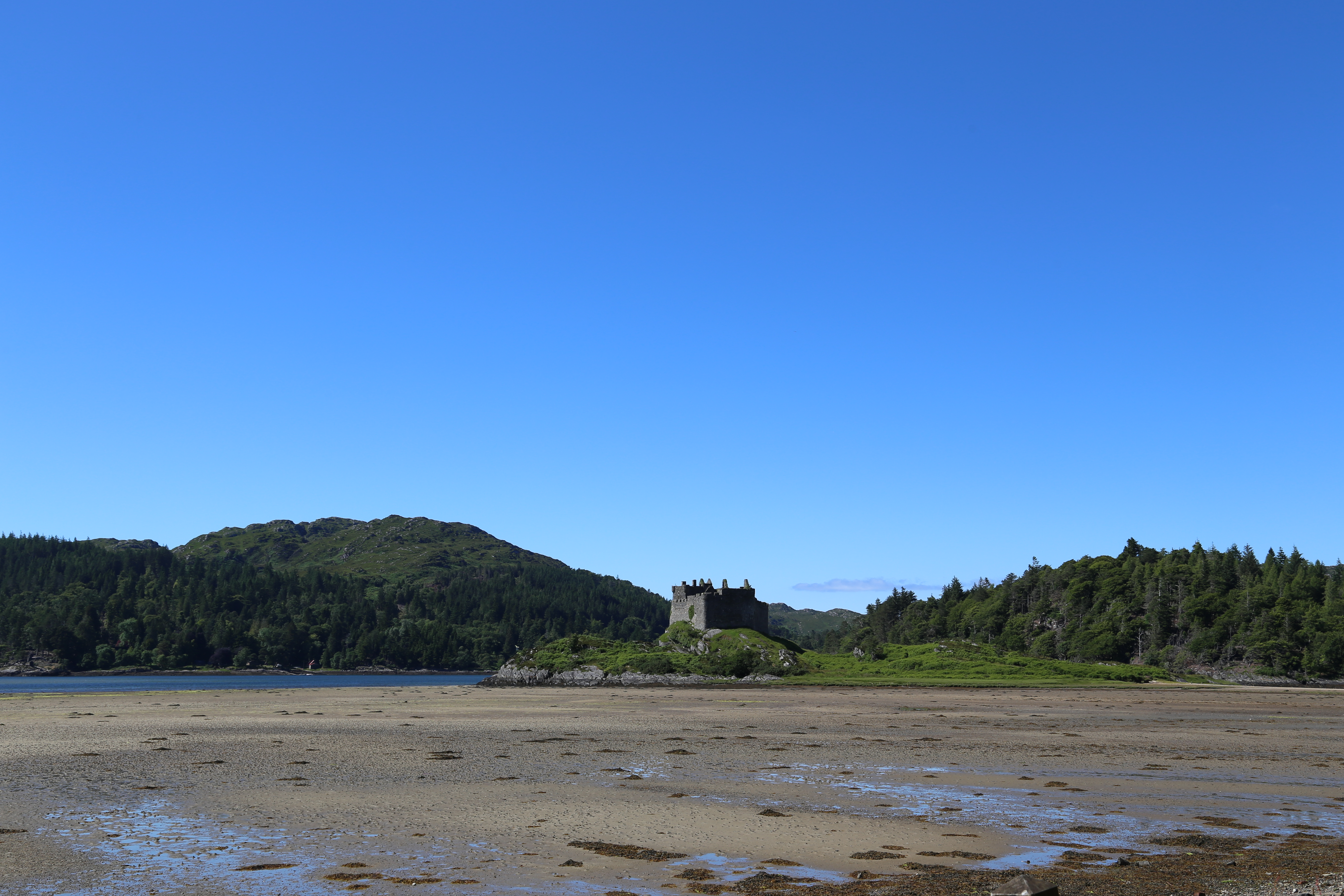 2014 Europe Trip Day 26 - Scotland (Ardachy House Yurt, Heilan' Coo, Fionnphort-Iona Ferry, Iona Nunnery, Iona Abbey (Britain Christianity Birthplace), Scottish Heather, Tobermory-Kilchoan Ferry, Castle Tioram, Glenfinnan Monument, Biting Midges!)