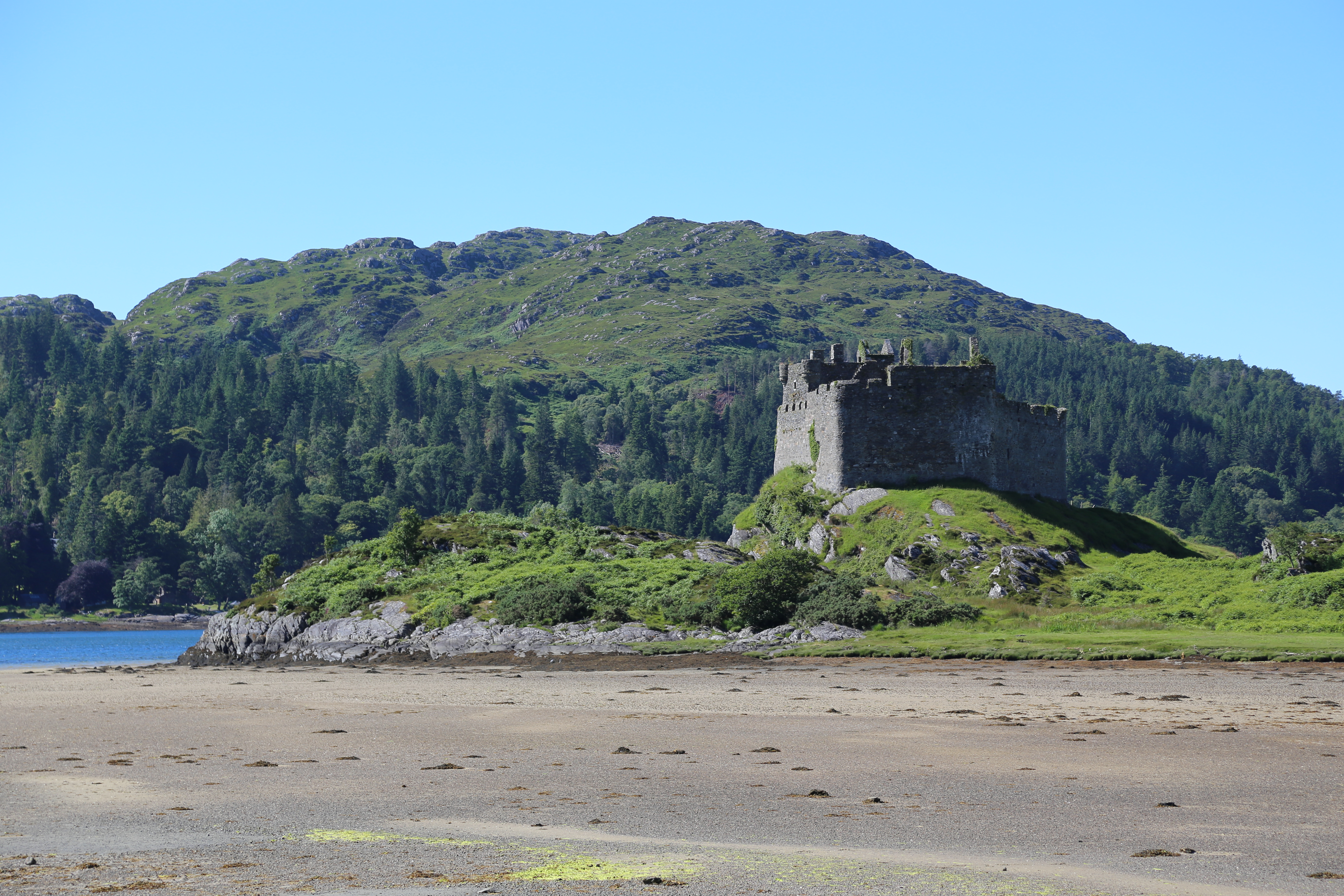 2014 Europe Trip Day 26 - Scotland (Ardachy House Yurt, Heilan' Coo, Fionnphort-Iona Ferry, Iona Nunnery, Iona Abbey (Britain Christianity Birthplace), Scottish Heather, Tobermory-Kilchoan Ferry, Castle Tioram, Glenfinnan Monument, Biting Midges!)