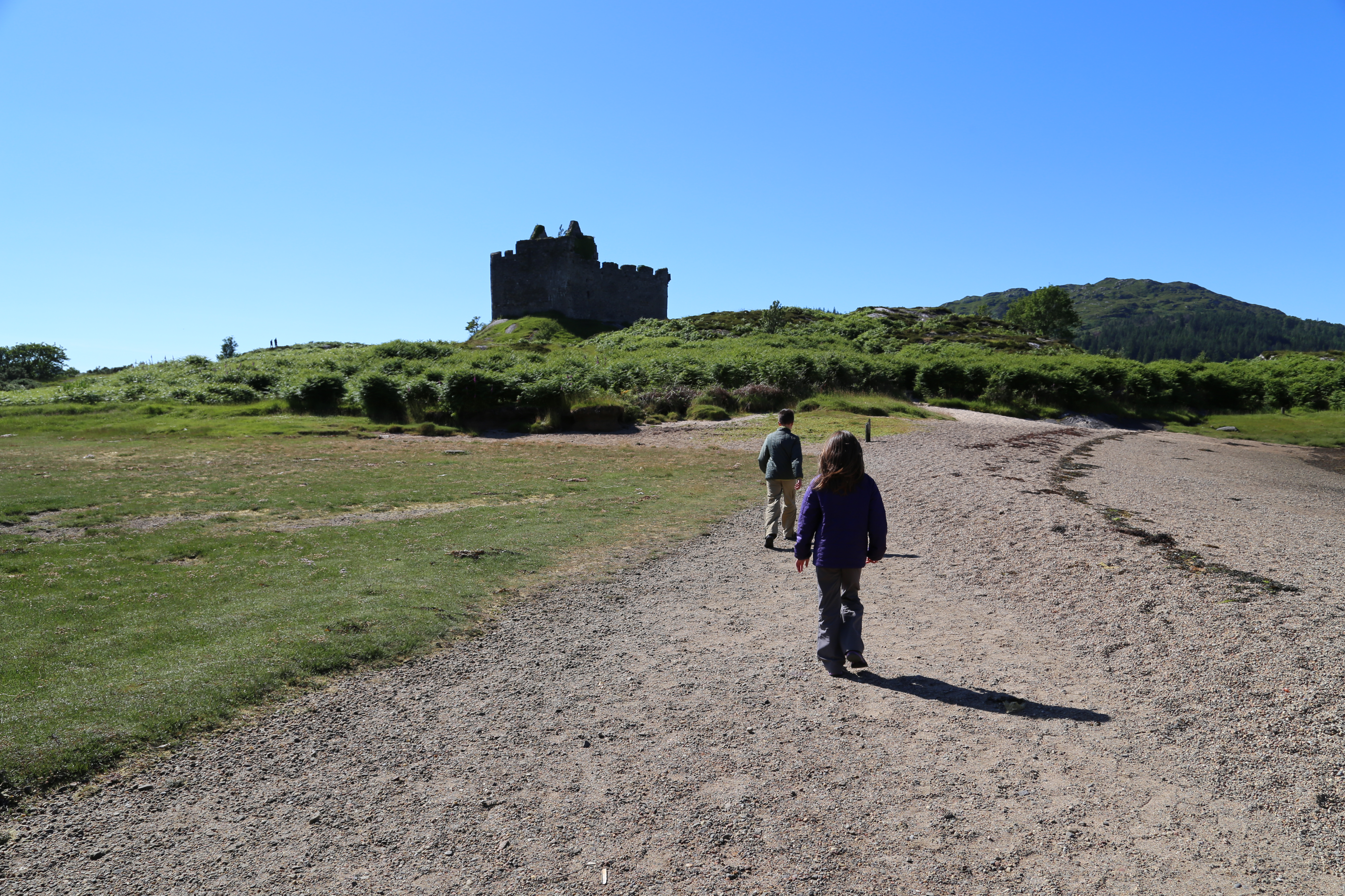 2014 Europe Trip Day 26 - Scotland (Ardachy House Yurt, Heilan' Coo, Fionnphort-Iona Ferry, Iona Nunnery, Iona Abbey (Britain Christianity Birthplace), Scottish Heather, Tobermory-Kilchoan Ferry, Castle Tioram, Glenfinnan Monument, Biting Midges!)