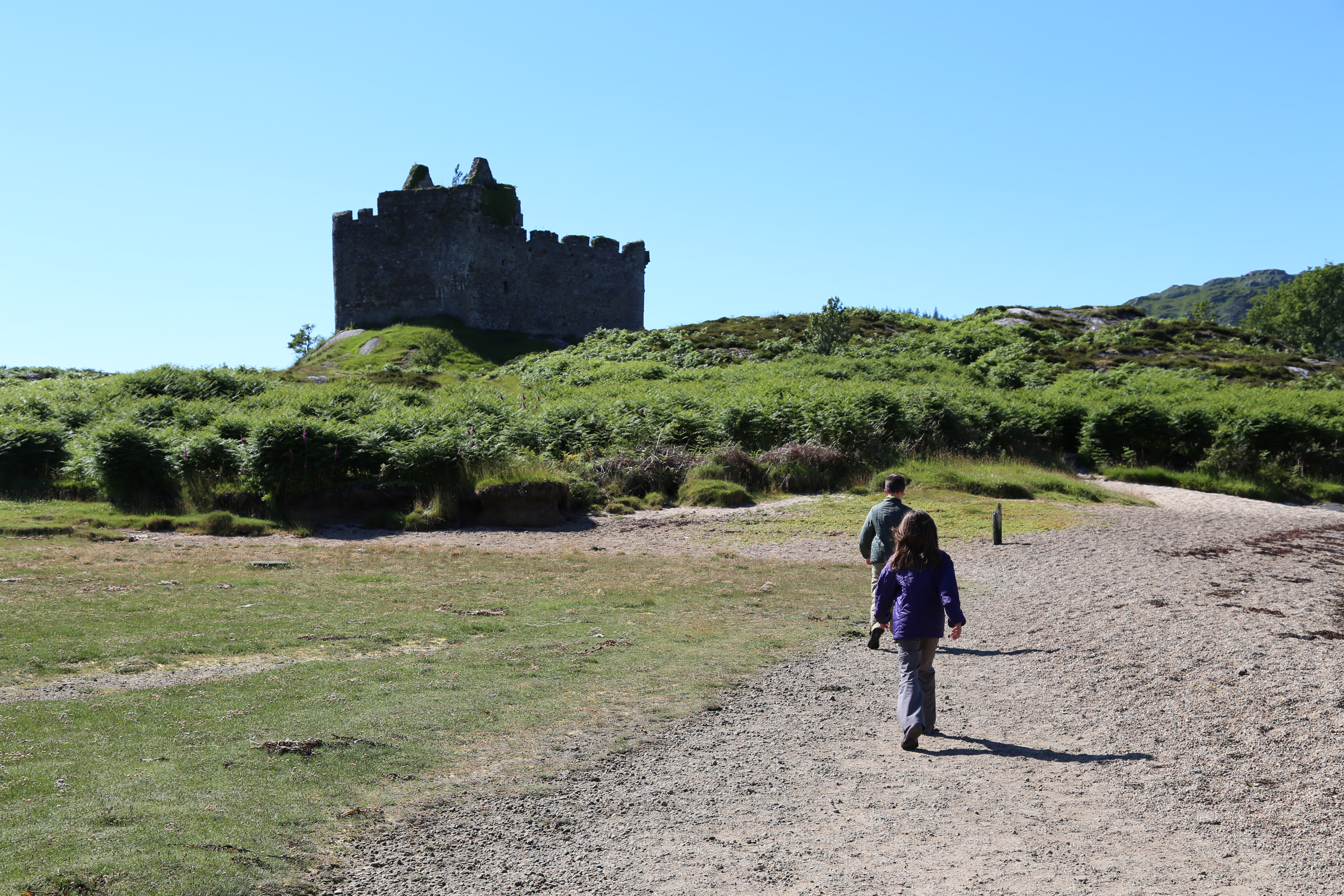 2014 Europe Trip Day 26 - Scotland (Ardachy House Yurt, Heilan' Coo, Fionnphort-Iona Ferry, Iona Nunnery, Iona Abbey (Britain Christianity Birthplace), Scottish Heather, Tobermory-Kilchoan Ferry, Castle Tioram, Glenfinnan Monument, Biting Midges!)