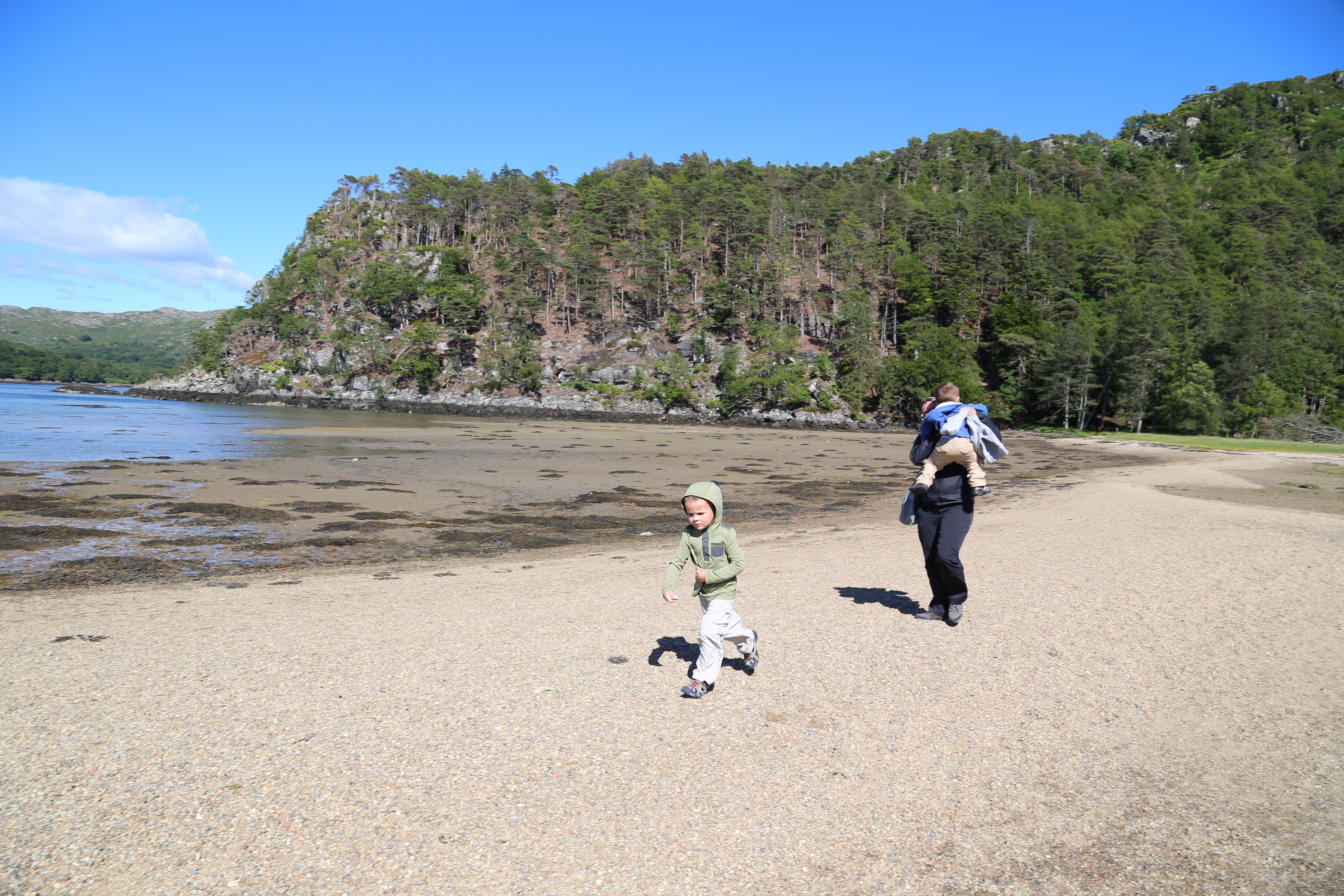 2014 Europe Trip Day 26 - Scotland (Ardachy House Yurt, Heilan' Coo, Fionnphort-Iona Ferry, Iona Nunnery, Iona Abbey (Britain Christianity Birthplace), Scottish Heather, Tobermory-Kilchoan Ferry, Castle Tioram, Glenfinnan Monument, Biting Midges!)