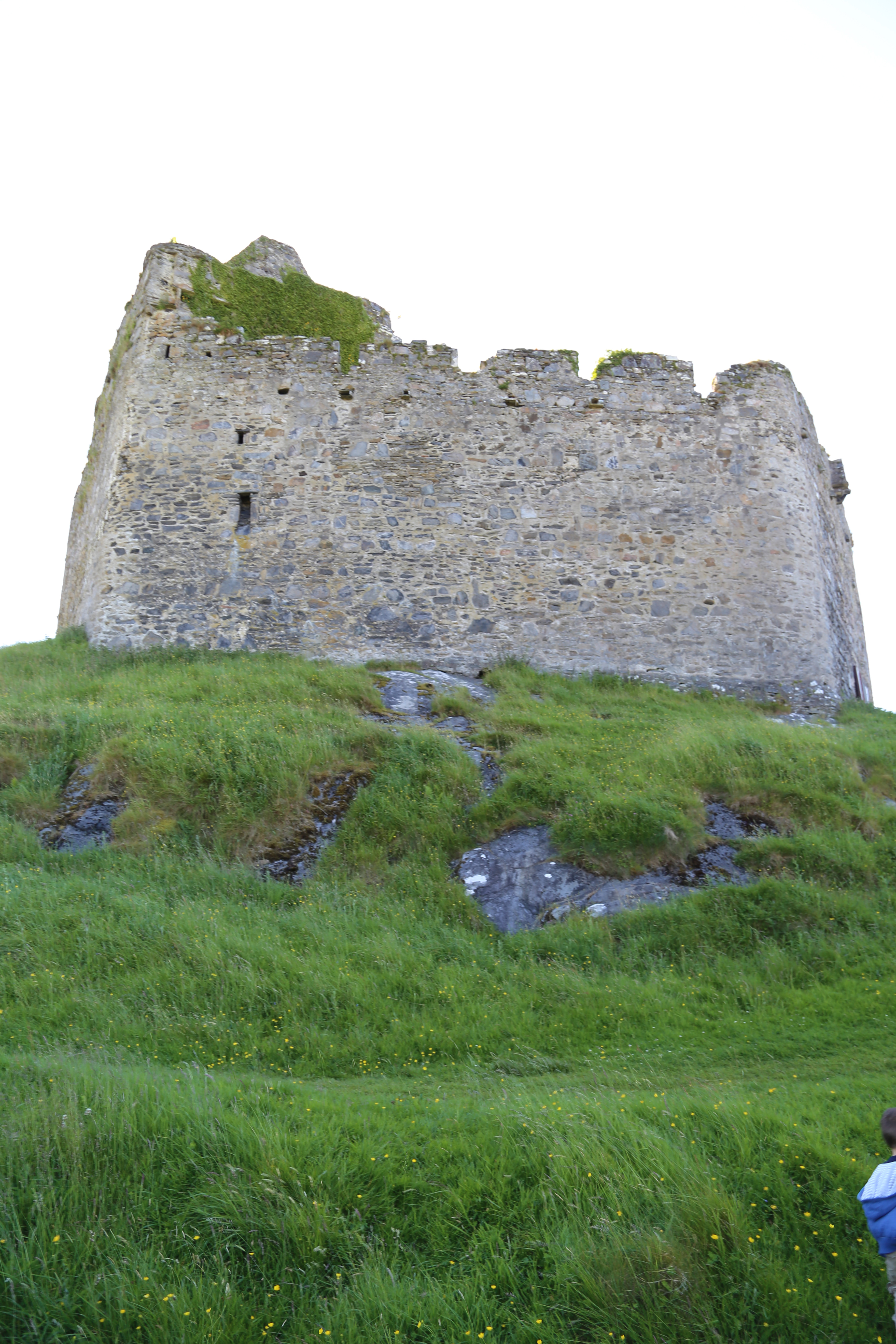 2014 Europe Trip Day 26 - Scotland (Ardachy House Yurt, Heilan' Coo, Fionnphort-Iona Ferry, Iona Nunnery, Iona Abbey (Britain Christianity Birthplace), Scottish Heather, Tobermory-Kilchoan Ferry, Castle Tioram, Glenfinnan Monument, Biting Midges!)