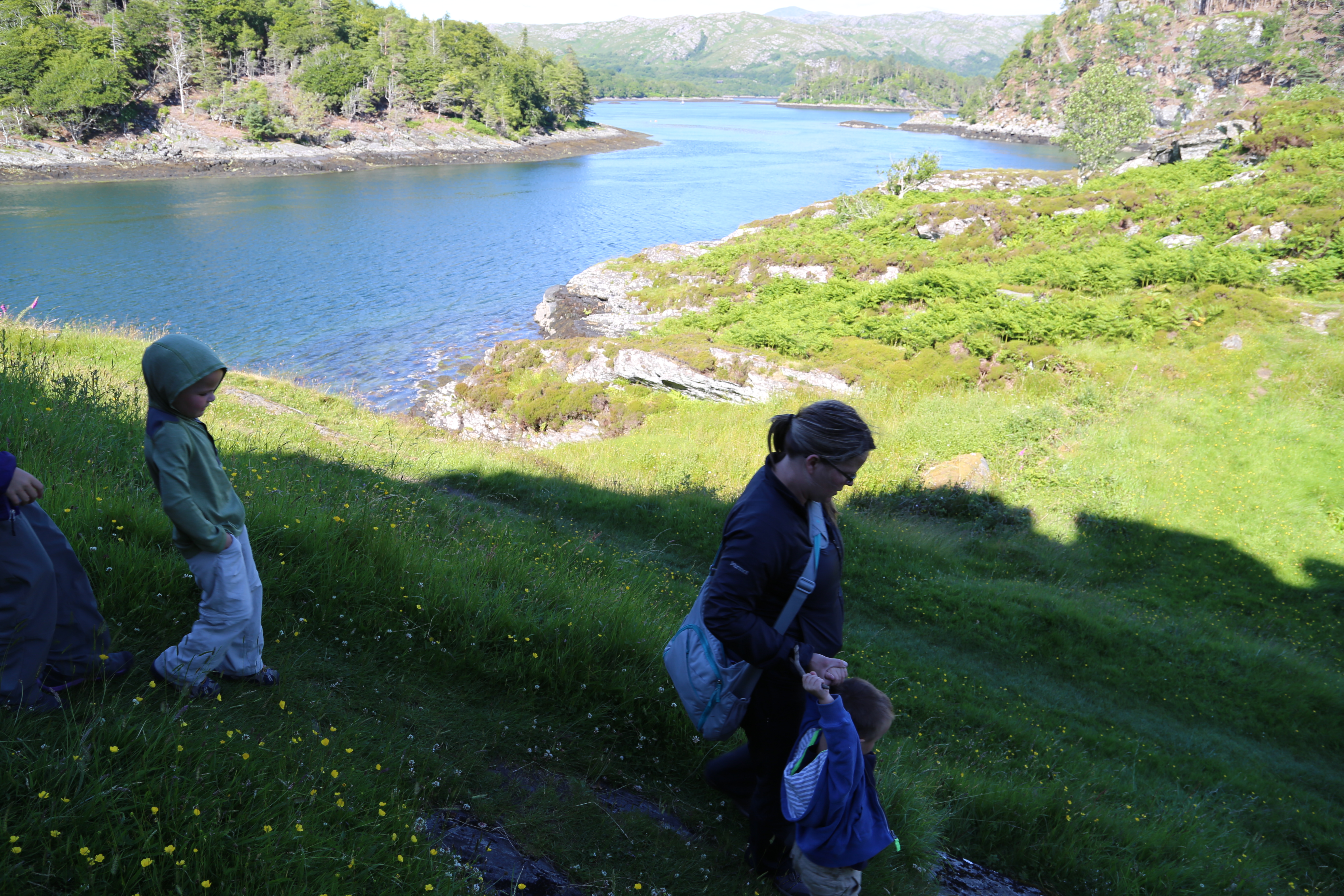 2014 Europe Trip Day 26 - Scotland (Ardachy House Yurt, Heilan' Coo, Fionnphort-Iona Ferry, Iona Nunnery, Iona Abbey (Britain Christianity Birthplace), Scottish Heather, Tobermory-Kilchoan Ferry, Castle Tioram, Glenfinnan Monument, Biting Midges!)