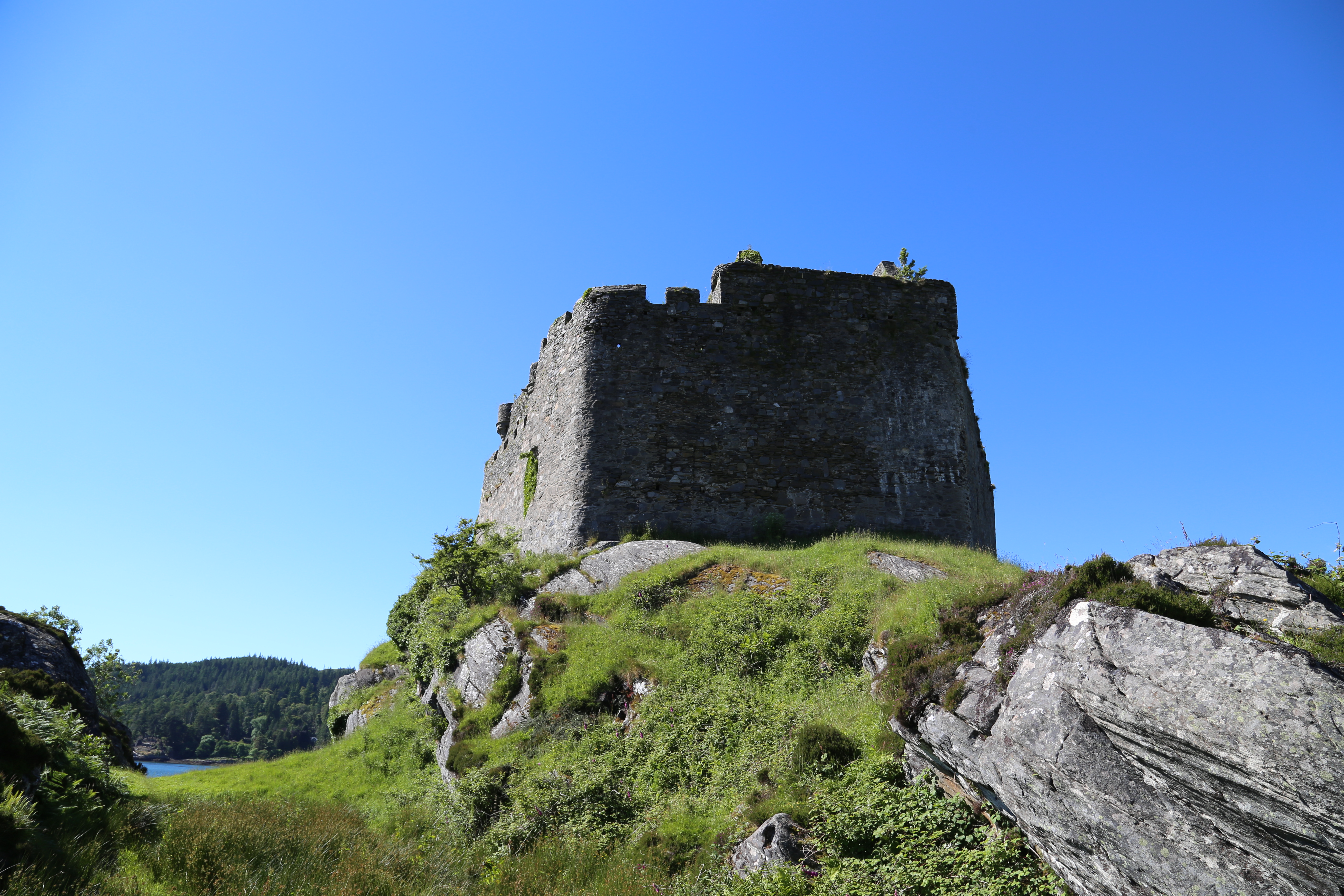 2014 Europe Trip Day 26 - Scotland (Ardachy House Yurt, Heilan' Coo, Fionnphort-Iona Ferry, Iona Nunnery, Iona Abbey (Britain Christianity Birthplace), Scottish Heather, Tobermory-Kilchoan Ferry, Castle Tioram, Glenfinnan Monument, Biting Midges!)