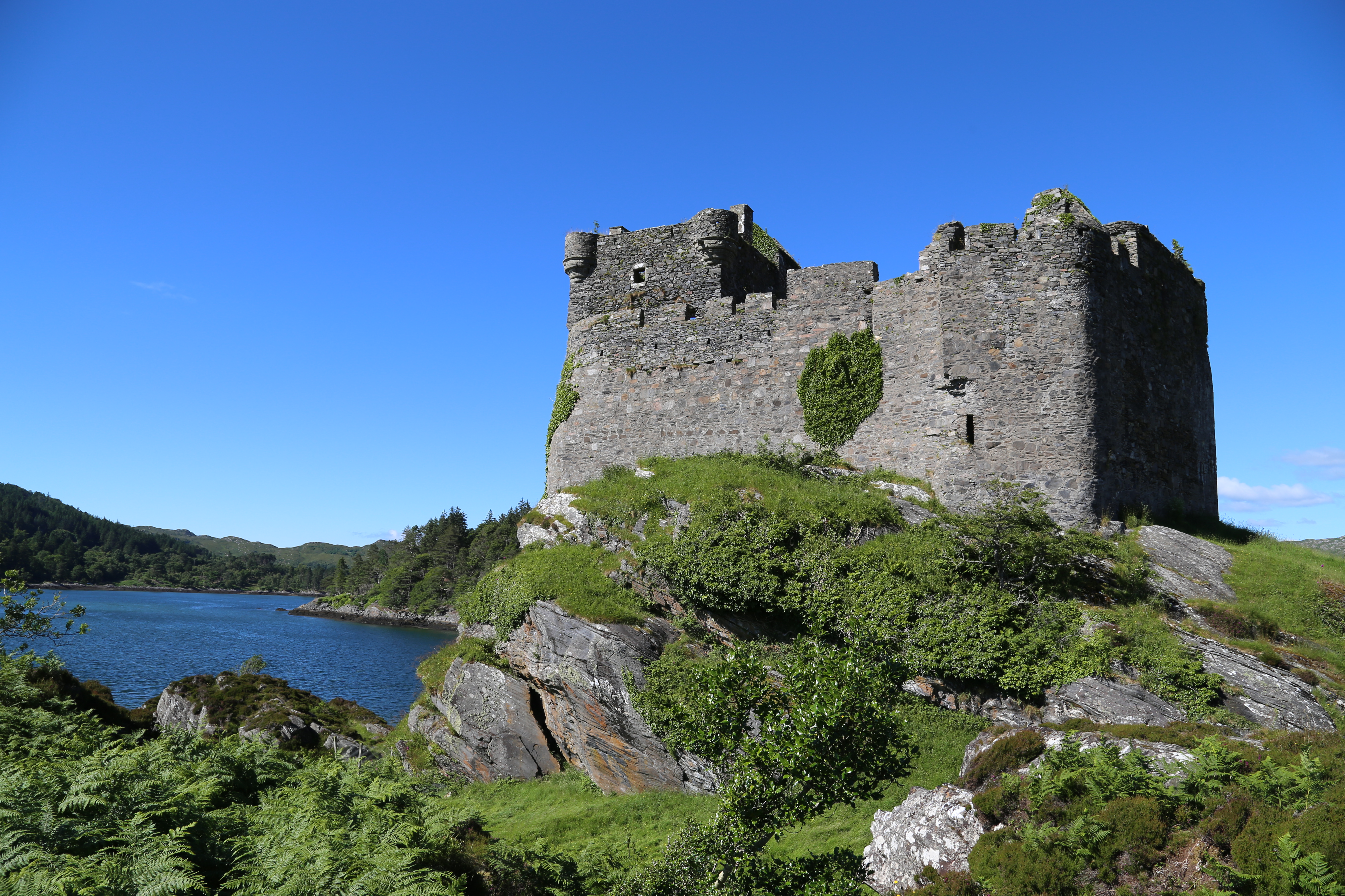 2014 Europe Trip Day 26 - Scotland (Ardachy House Yurt, Heilan' Coo, Fionnphort-Iona Ferry, Iona Nunnery, Iona Abbey (Britain Christianity Birthplace), Scottish Heather, Tobermory-Kilchoan Ferry, Castle Tioram, Glenfinnan Monument, Biting Midges!)