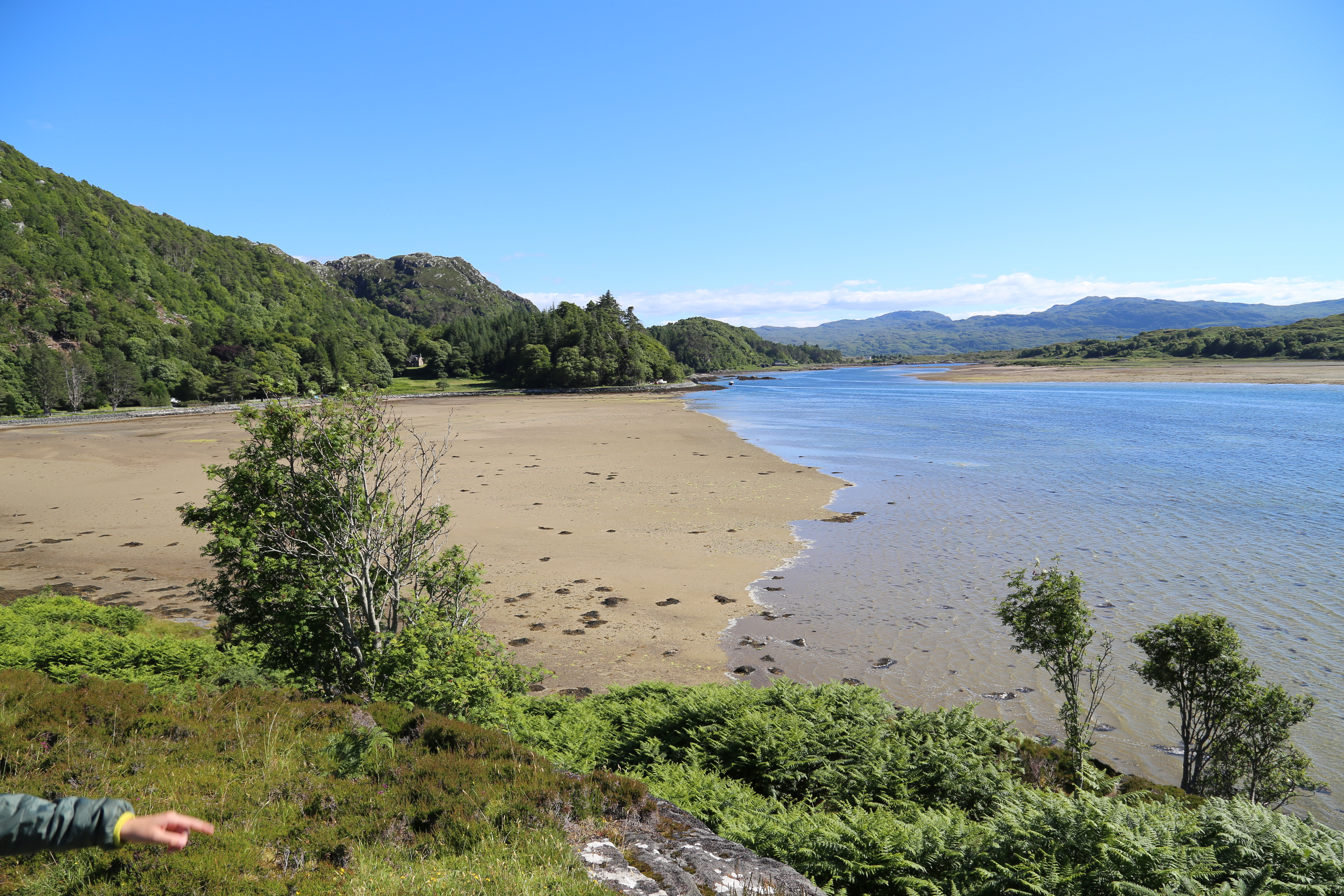 2014 Europe Trip Day 26 - Scotland (Ardachy House Yurt, Heilan' Coo, Fionnphort-Iona Ferry, Iona Nunnery, Iona Abbey (Britain Christianity Birthplace), Scottish Heather, Tobermory-Kilchoan Ferry, Castle Tioram, Glenfinnan Monument, Biting Midges!)