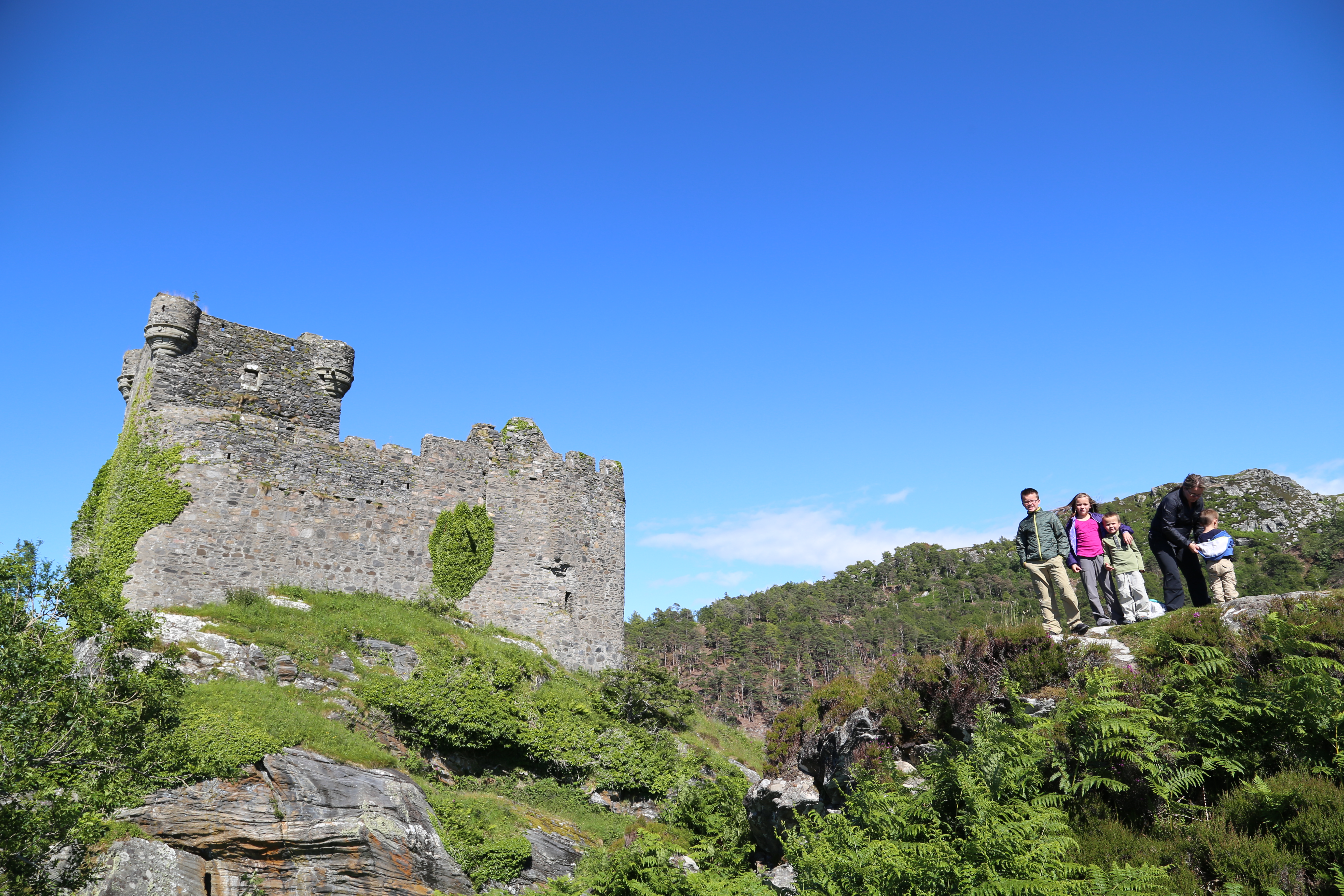 2014 Europe Trip Day 26 - Scotland (Ardachy House Yurt, Heilan' Coo, Fionnphort-Iona Ferry, Iona Nunnery, Iona Abbey (Britain Christianity Birthplace), Scottish Heather, Tobermory-Kilchoan Ferry, Castle Tioram, Glenfinnan Monument, Biting Midges!)