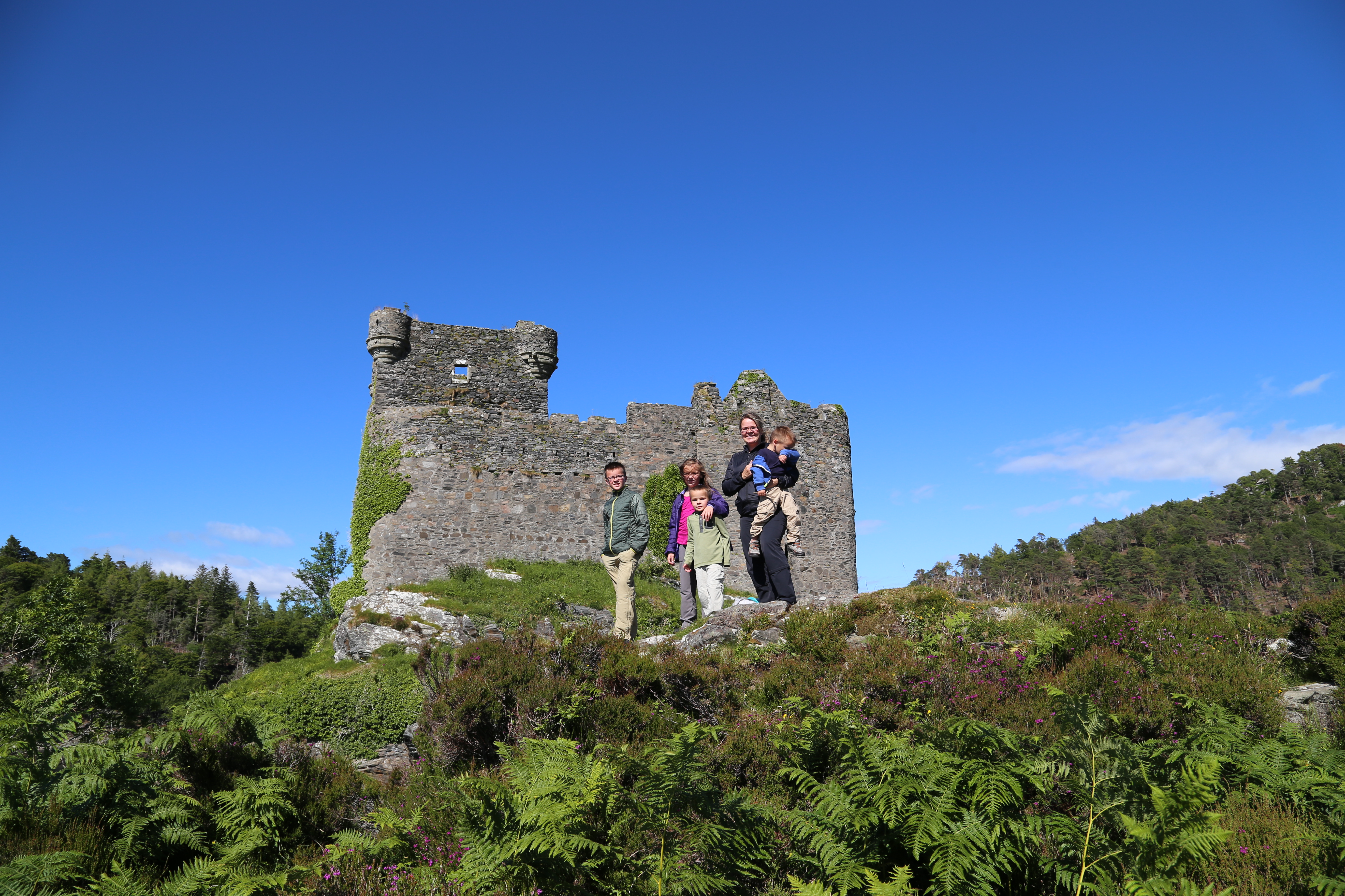 2014 Europe Trip Day 26 - Scotland (Ardachy House Yurt, Heilan' Coo, Fionnphort-Iona Ferry, Iona Nunnery, Iona Abbey (Britain Christianity Birthplace), Scottish Heather, Tobermory-Kilchoan Ferry, Castle Tioram, Glenfinnan Monument, Biting Midges!)