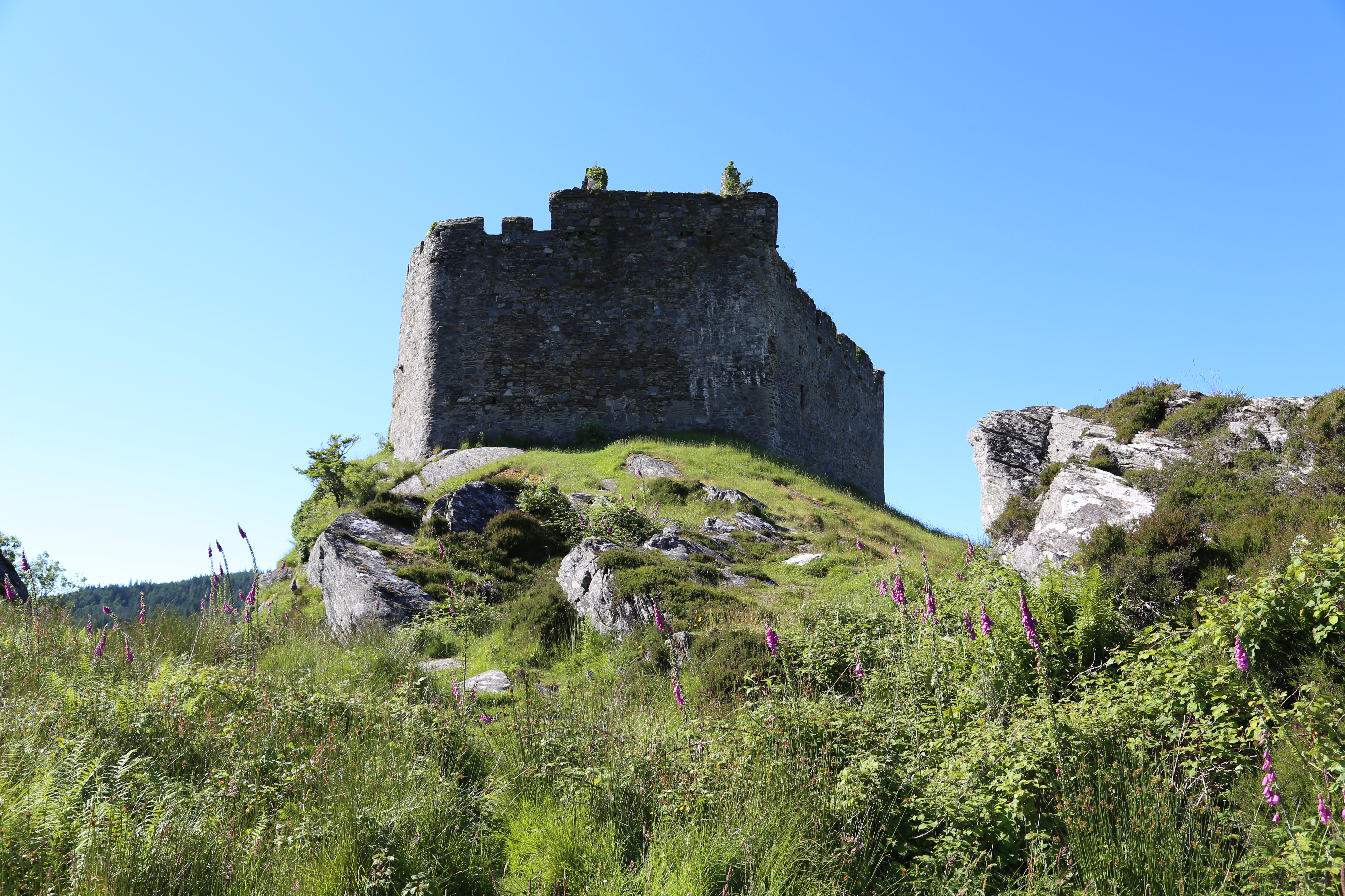 2014 Europe Trip Day 26 - Scotland (Ardachy House Yurt, Heilan' Coo, Fionnphort-Iona Ferry, Iona Nunnery, Iona Abbey (Britain Christianity Birthplace), Scottish Heather, Tobermory-Kilchoan Ferry, Castle Tioram, Glenfinnan Monument, Biting Midges!)