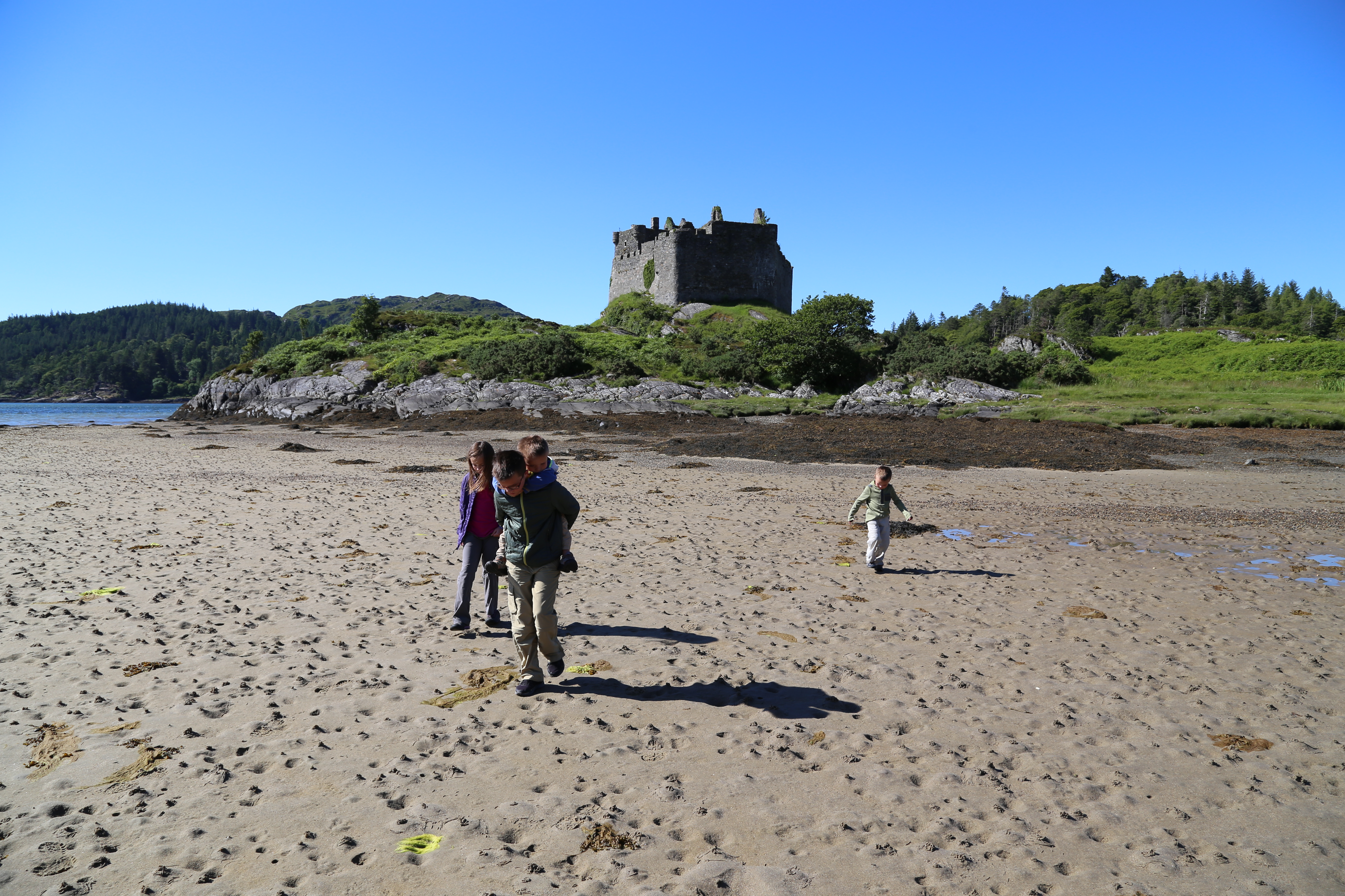 2014 Europe Trip Day 26 - Scotland (Ardachy House Yurt, Heilan' Coo, Fionnphort-Iona Ferry, Iona Nunnery, Iona Abbey (Britain Christianity Birthplace), Scottish Heather, Tobermory-Kilchoan Ferry, Castle Tioram, Glenfinnan Monument, Biting Midges!)