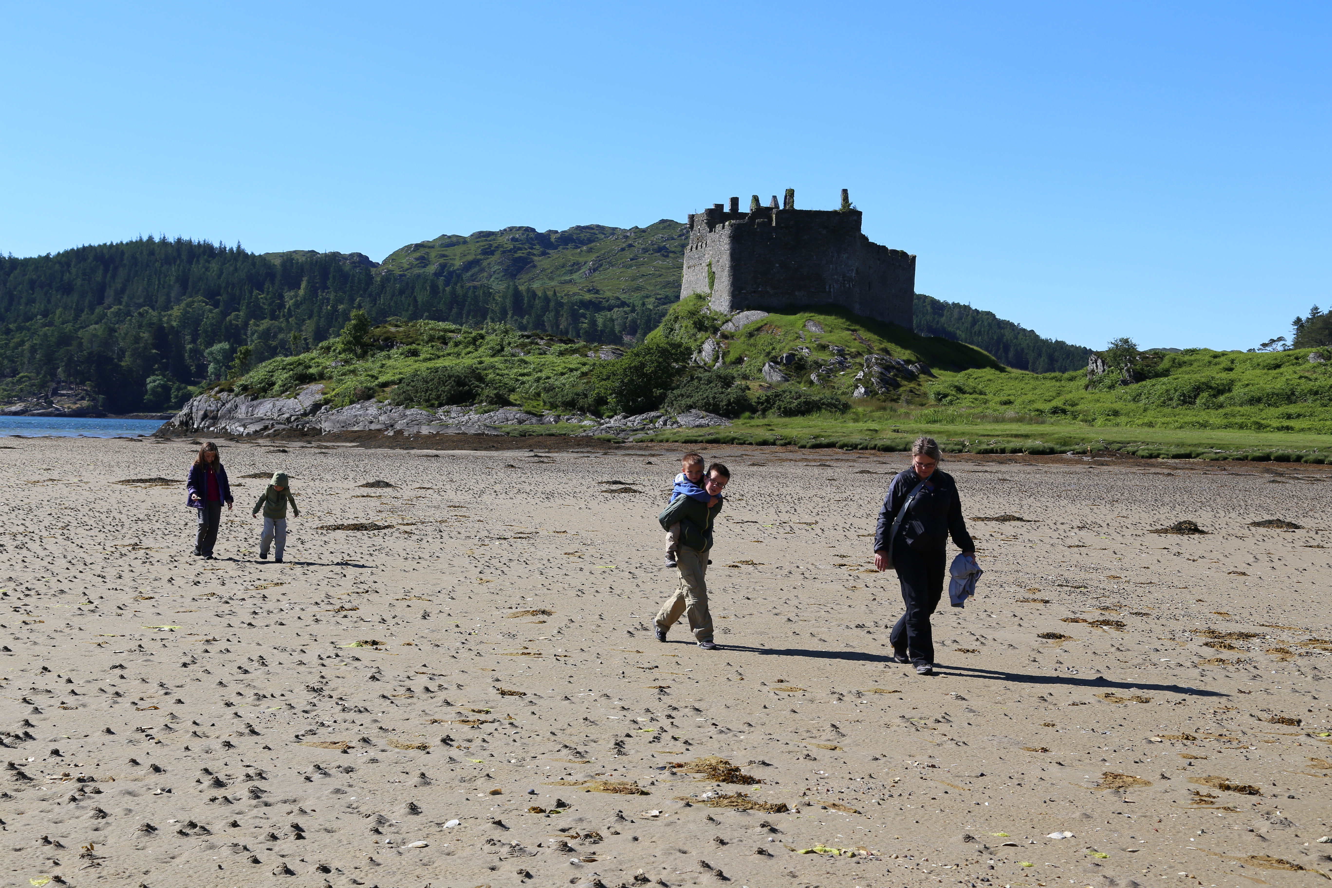 2014 Europe Trip Day 26 - Scotland (Ardachy House Yurt, Heilan' Coo, Fionnphort-Iona Ferry, Iona Nunnery, Iona Abbey (Britain Christianity Birthplace), Scottish Heather, Tobermory-Kilchoan Ferry, Castle Tioram, Glenfinnan Monument, Biting Midges!)