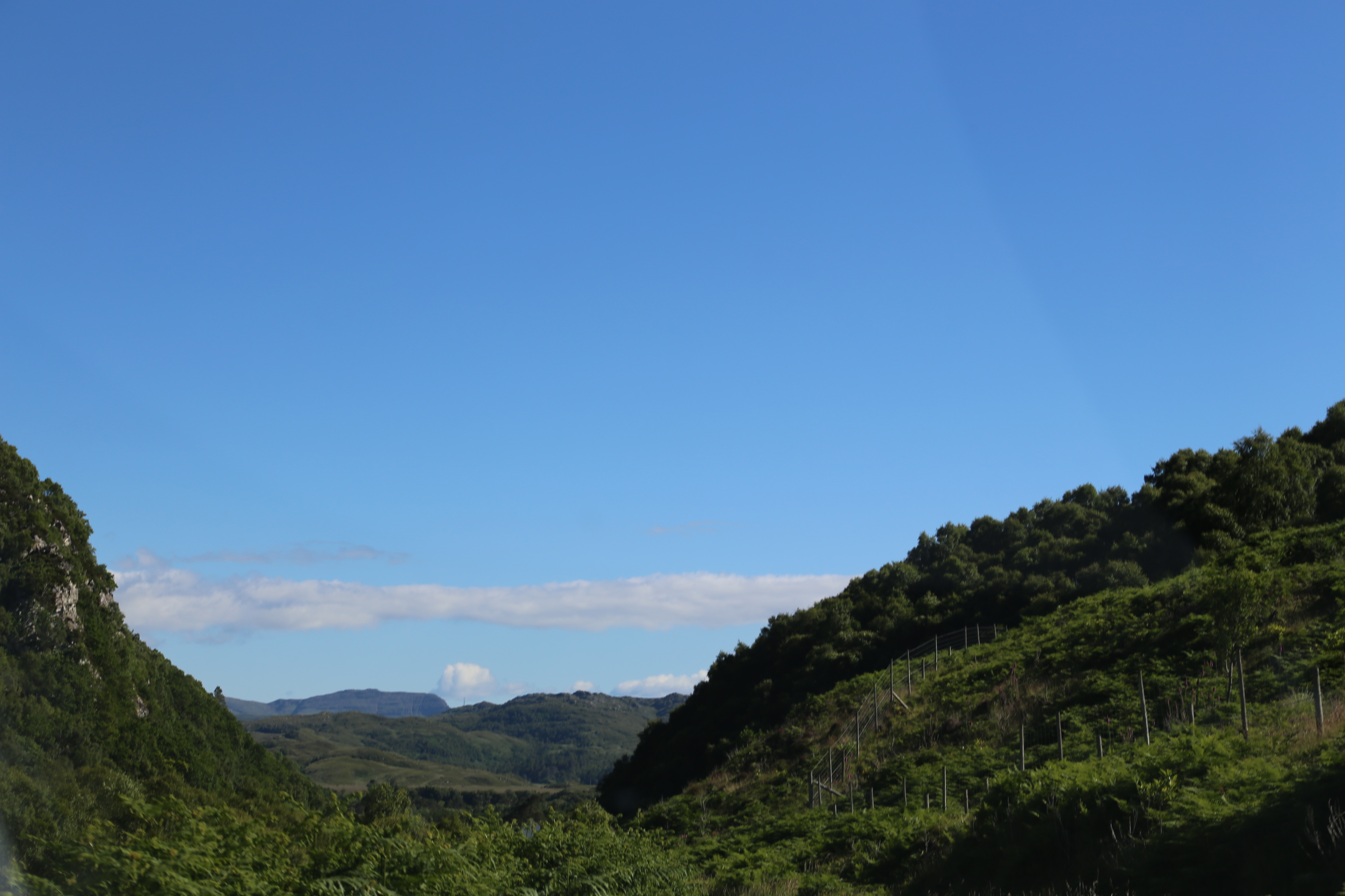 2014 Europe Trip Day 26 - Scotland (Ardachy House Yurt, Heilan' Coo, Fionnphort-Iona Ferry, Iona Nunnery, Iona Abbey (Britain Christianity Birthplace), Scottish Heather, Tobermory-Kilchoan Ferry, Castle Tioram, Glenfinnan Monument, Biting Midges!)