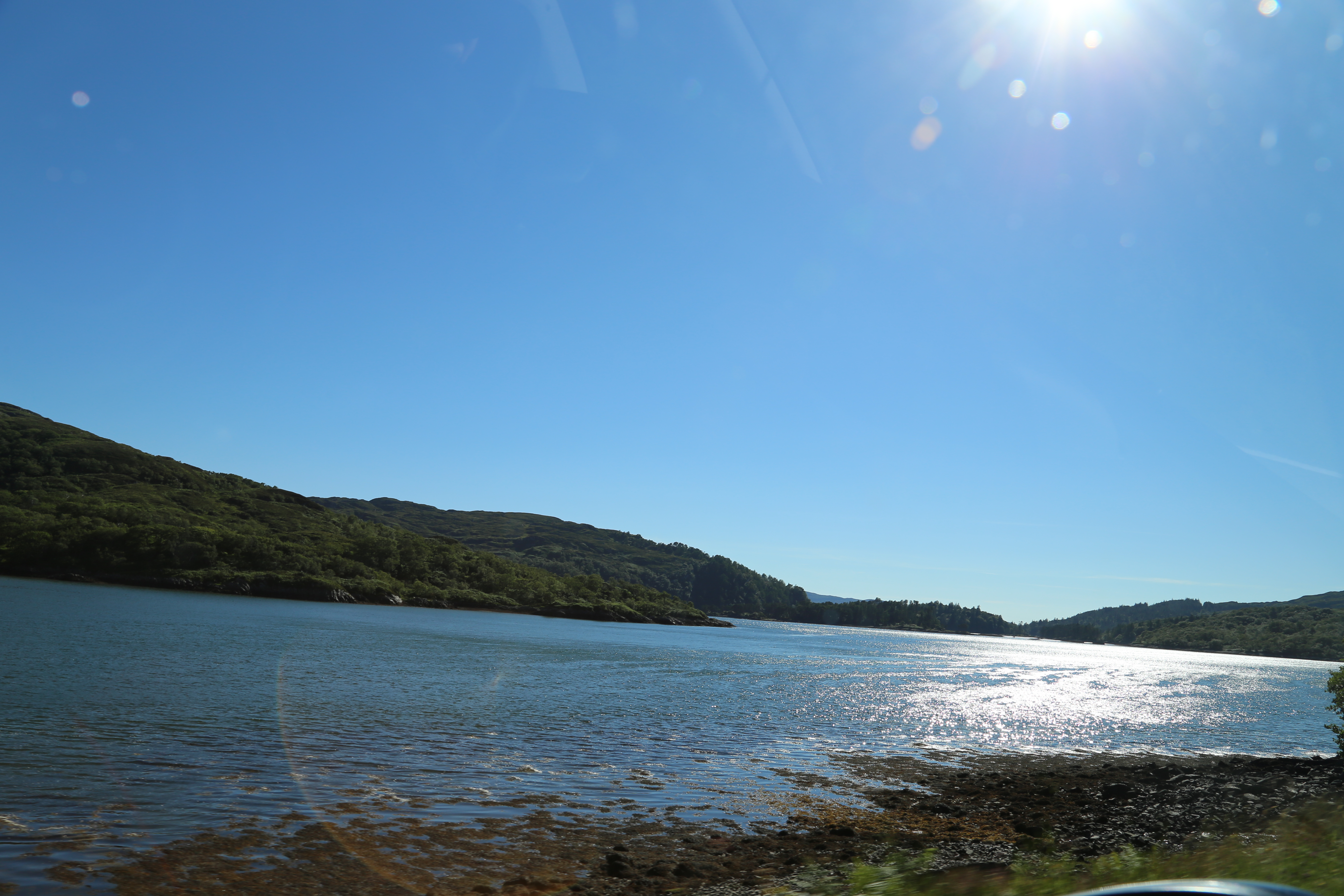 2014 Europe Trip Day 26 - Scotland (Ardachy House Yurt, Heilan' Coo, Fionnphort-Iona Ferry, Iona Nunnery, Iona Abbey (Britain Christianity Birthplace), Scottish Heather, Tobermory-Kilchoan Ferry, Castle Tioram, Glenfinnan Monument, Biting Midges!)