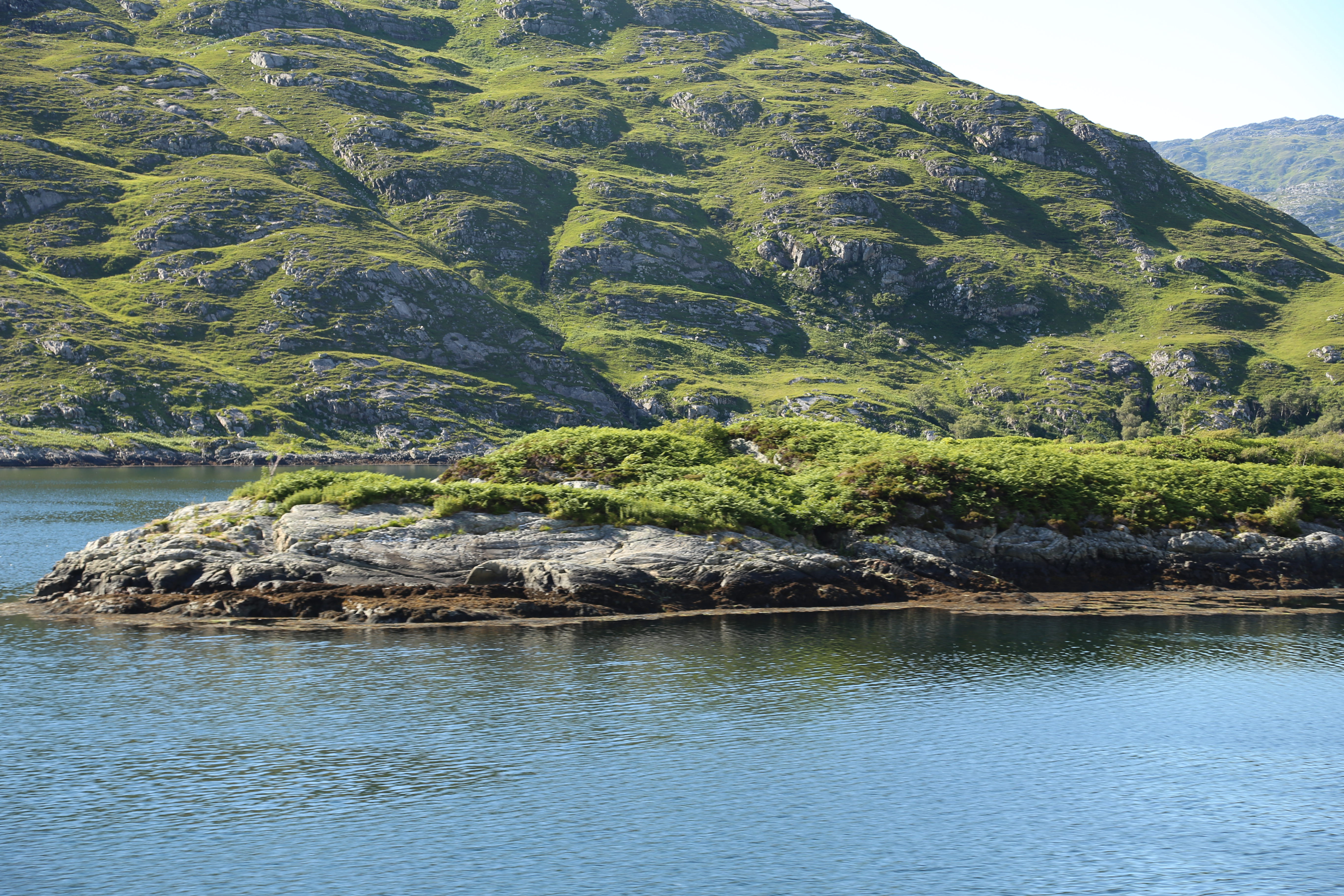 2014 Europe Trip Day 26 - Scotland (Ardachy House Yurt, Heilan' Coo, Fionnphort-Iona Ferry, Iona Nunnery, Iona Abbey (Britain Christianity Birthplace), Scottish Heather, Tobermory-Kilchoan Ferry, Castle Tioram, Glenfinnan Monument, Biting Midges!)