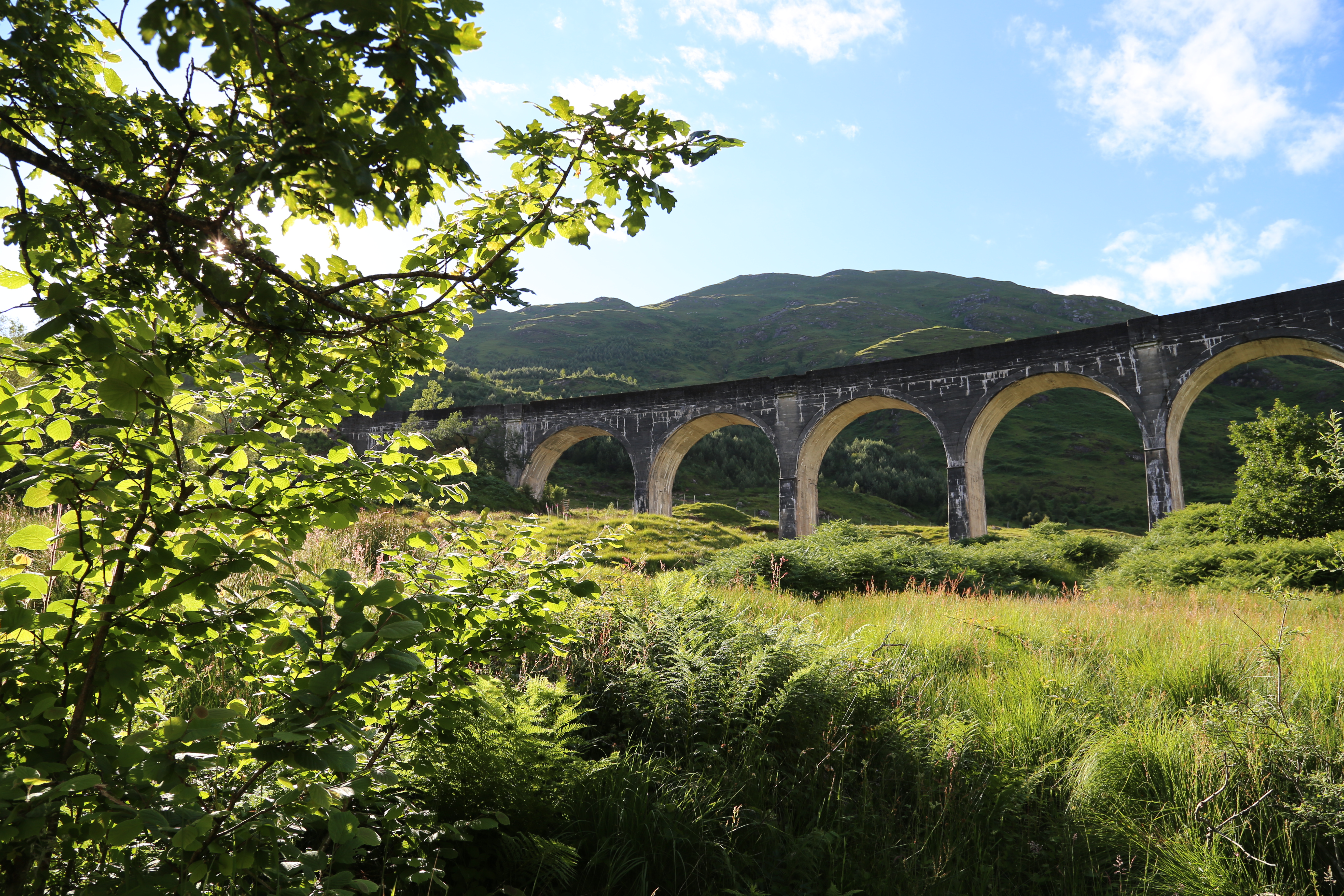 2014 Europe Trip Day 26 - Scotland (Ardachy House Yurt, Heilan' Coo, Fionnphort-Iona Ferry, Iona Nunnery, Iona Abbey (Britain Christianity Birthplace), Scottish Heather, Tobermory-Kilchoan Ferry, Castle Tioram, Glenfinnan Monument, Biting Midges!)