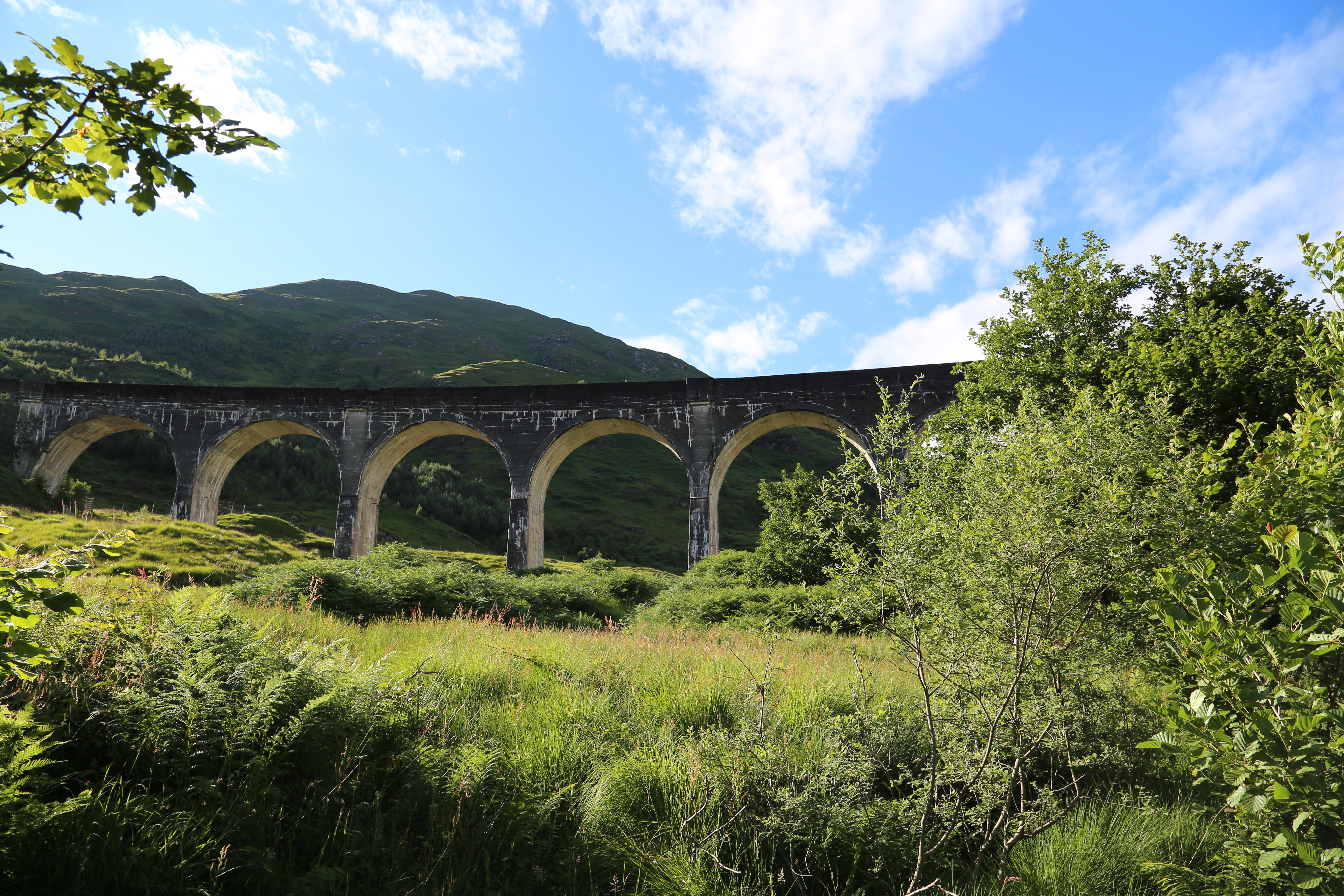 2014 Europe Trip Day 26 - Scotland (Ardachy House Yurt, Heilan' Coo, Fionnphort-Iona Ferry, Iona Nunnery, Iona Abbey (Britain Christianity Birthplace), Scottish Heather, Tobermory-Kilchoan Ferry, Castle Tioram, Glenfinnan Monument, Biting Midges!)