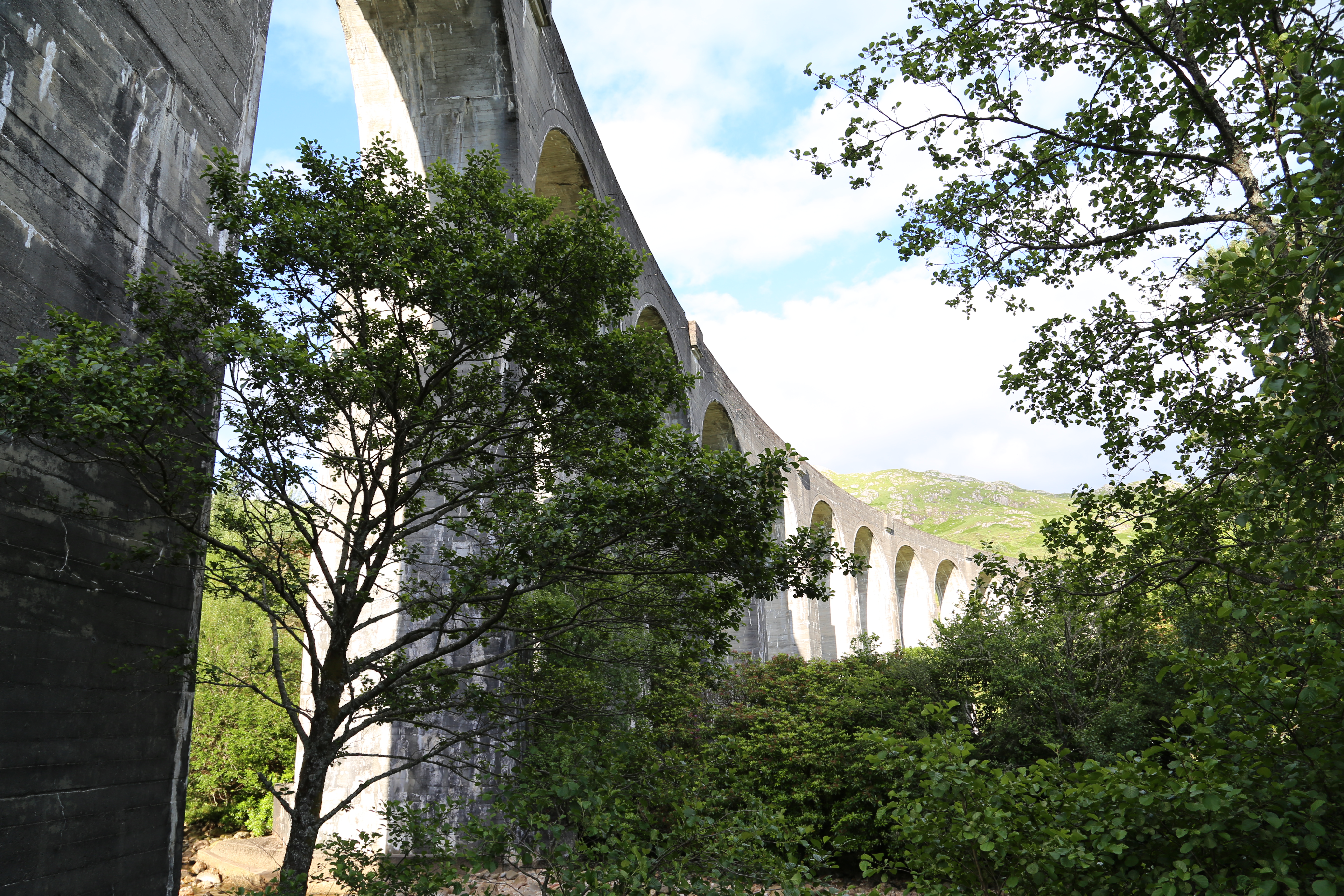 2014 Europe Trip Day 26 - Scotland (Ardachy House Yurt, Heilan' Coo, Fionnphort-Iona Ferry, Iona Nunnery, Iona Abbey (Britain Christianity Birthplace), Scottish Heather, Tobermory-Kilchoan Ferry, Castle Tioram, Glenfinnan Monument, Biting Midges!)