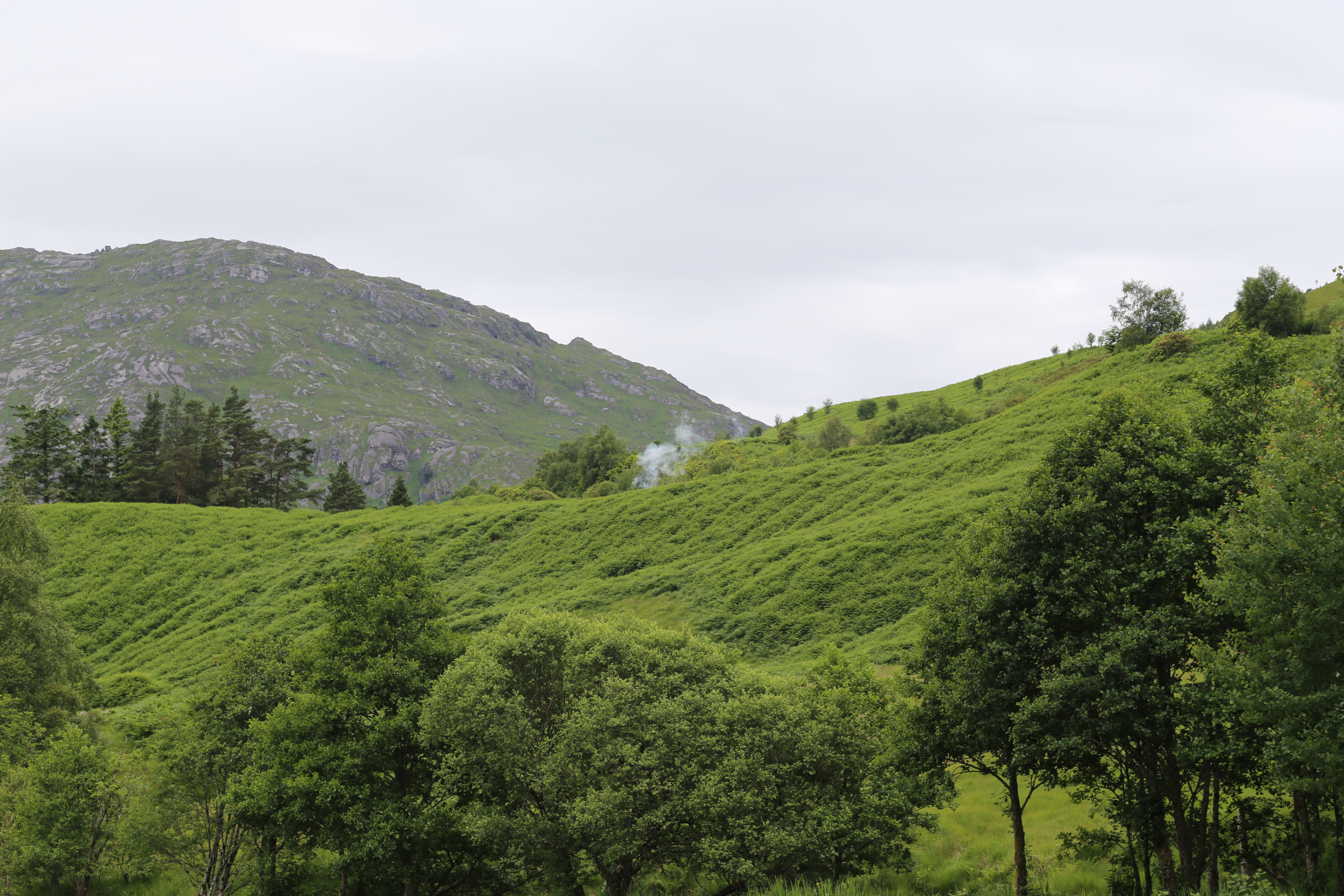 2014 Europe Trip Day 27 - Scotland (Muesli, Hogwarts Express Train (Jacobite Steam Train, Glenfinnan Viaduct), Fort William, Ben Nevis, Highland Bagpiper, Eilean Donan Castle, Isle of Skye, Portree, Old Man of Storr, Kilt Rock, Uig, Quiraing, Peat Fields)