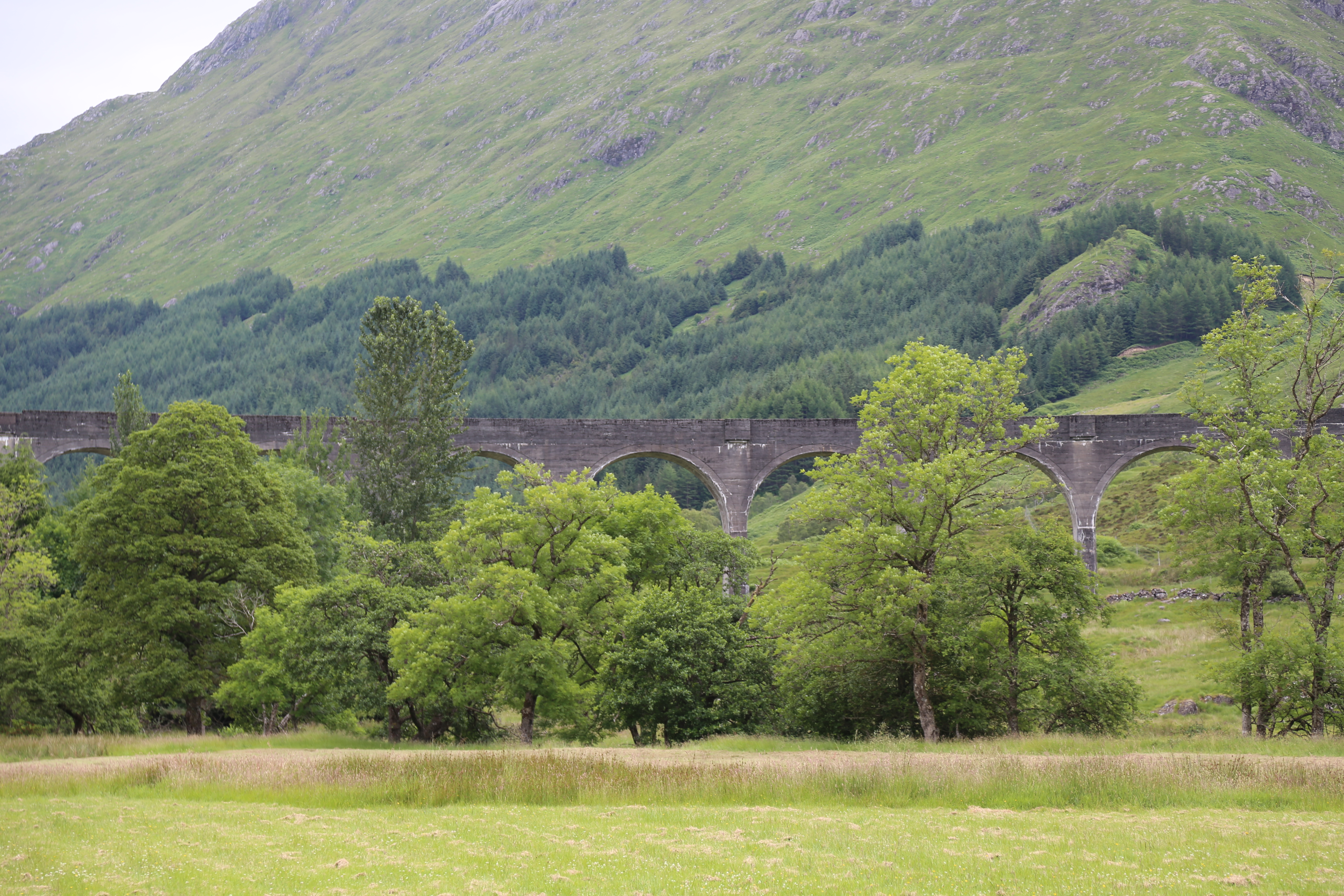 2014 Europe Trip Day 27 - Scotland (Muesli, Hogwarts Express Train (Jacobite Steam Train, Glenfinnan Viaduct), Fort William, Ben Nevis, Highland Bagpiper, Eilean Donan Castle, Isle of Skye, Portree, Old Man of Storr, Kilt Rock, Uig, Quiraing, Peat Fields)