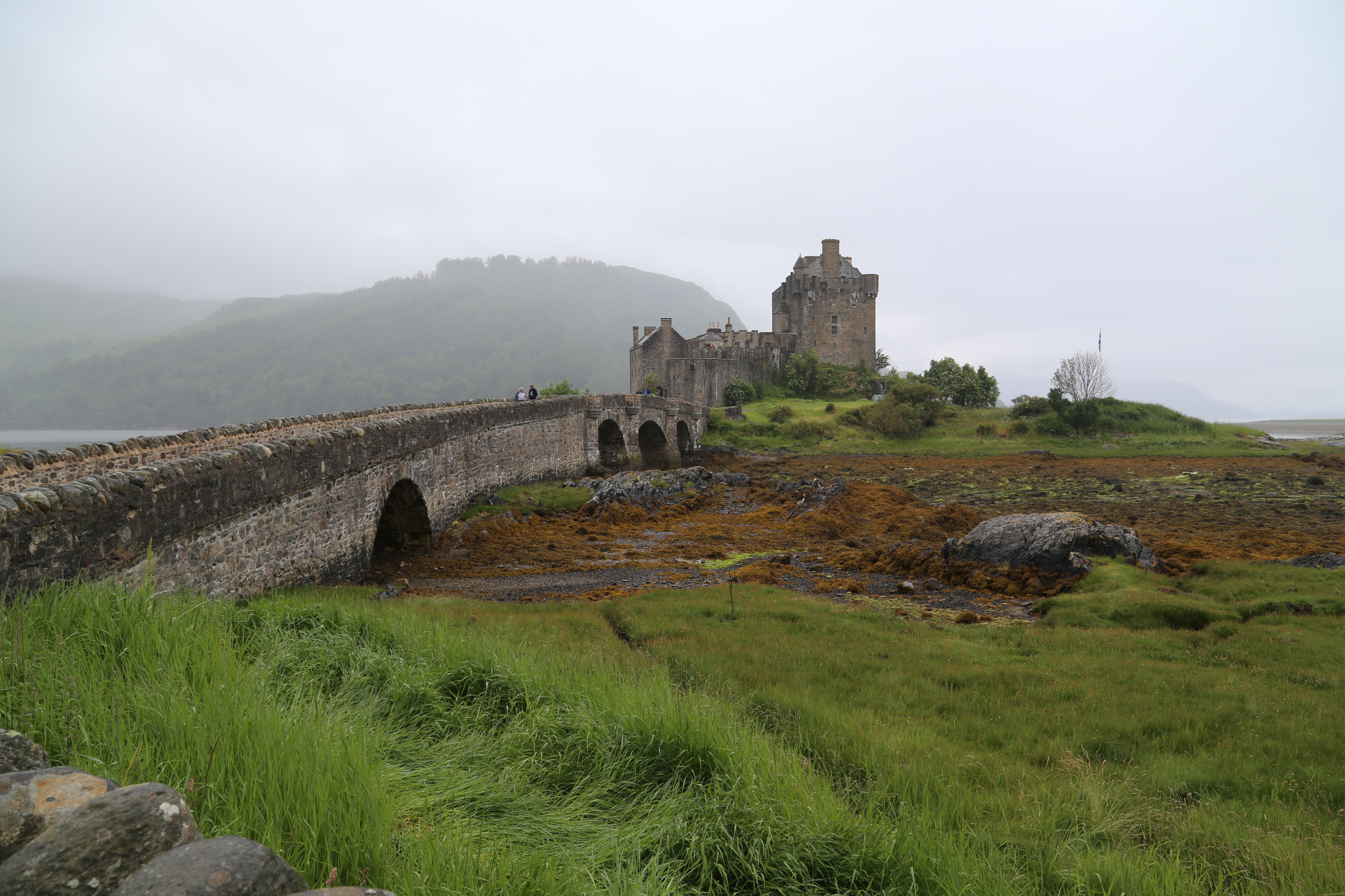 2014 Europe Trip Day 27 - Scotland (Muesli, Hogwarts Express Train (Jacobite Steam Train, Glenfinnan Viaduct), Fort William, Ben Nevis, Highland Bagpiper, Eilean Donan Castle, Isle of Skye, Portree, Old Man of Storr, Kilt Rock, Uig, Quiraing, Peat Fields)