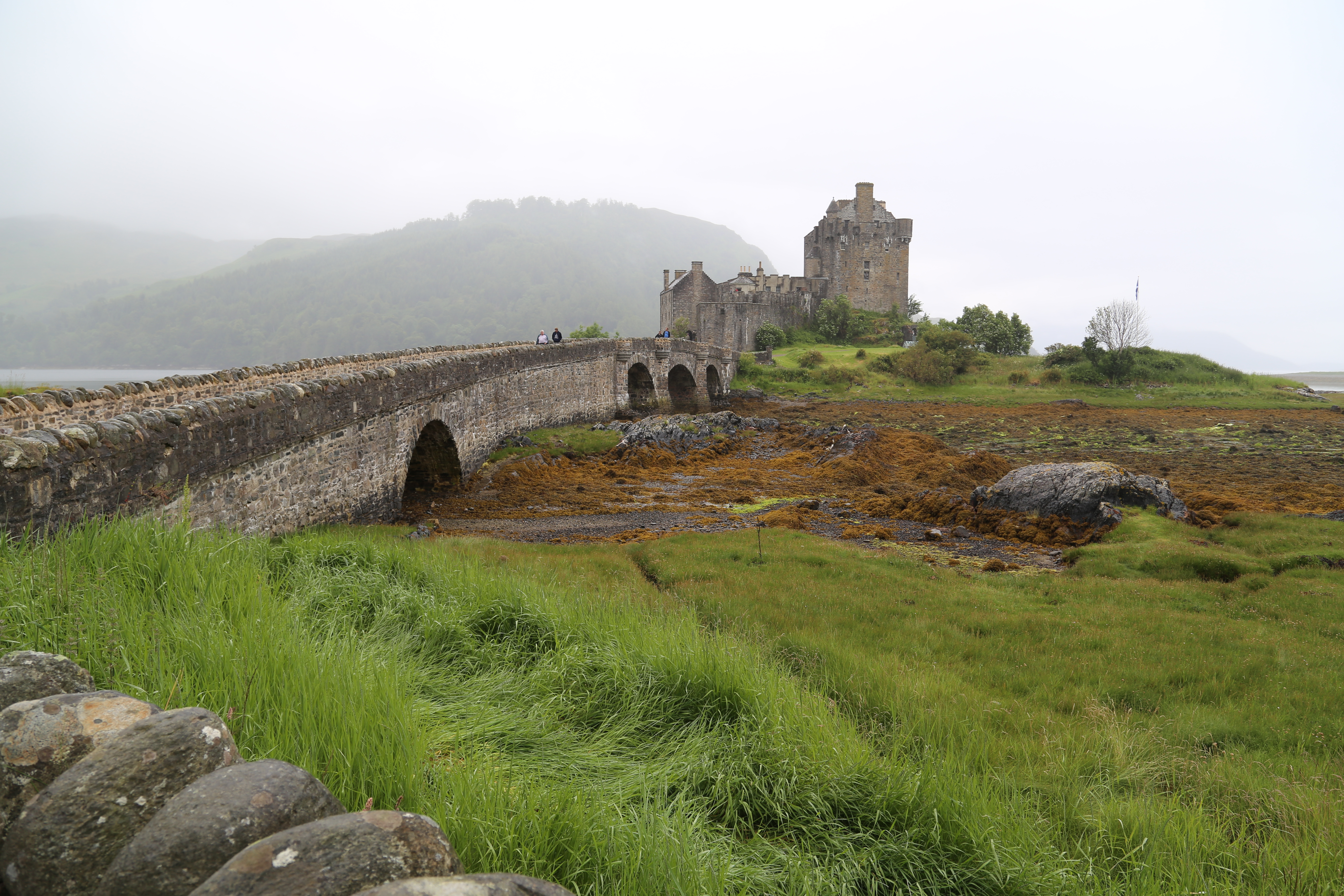 2014 Europe Trip Day 27 - Scotland (Muesli, Hogwarts Express Train (Jacobite Steam Train, Glenfinnan Viaduct), Fort William, Ben Nevis, Highland Bagpiper, Eilean Donan Castle, Isle of Skye, Portree, Old Man of Storr, Kilt Rock, Uig, Quiraing, Peat Fields)