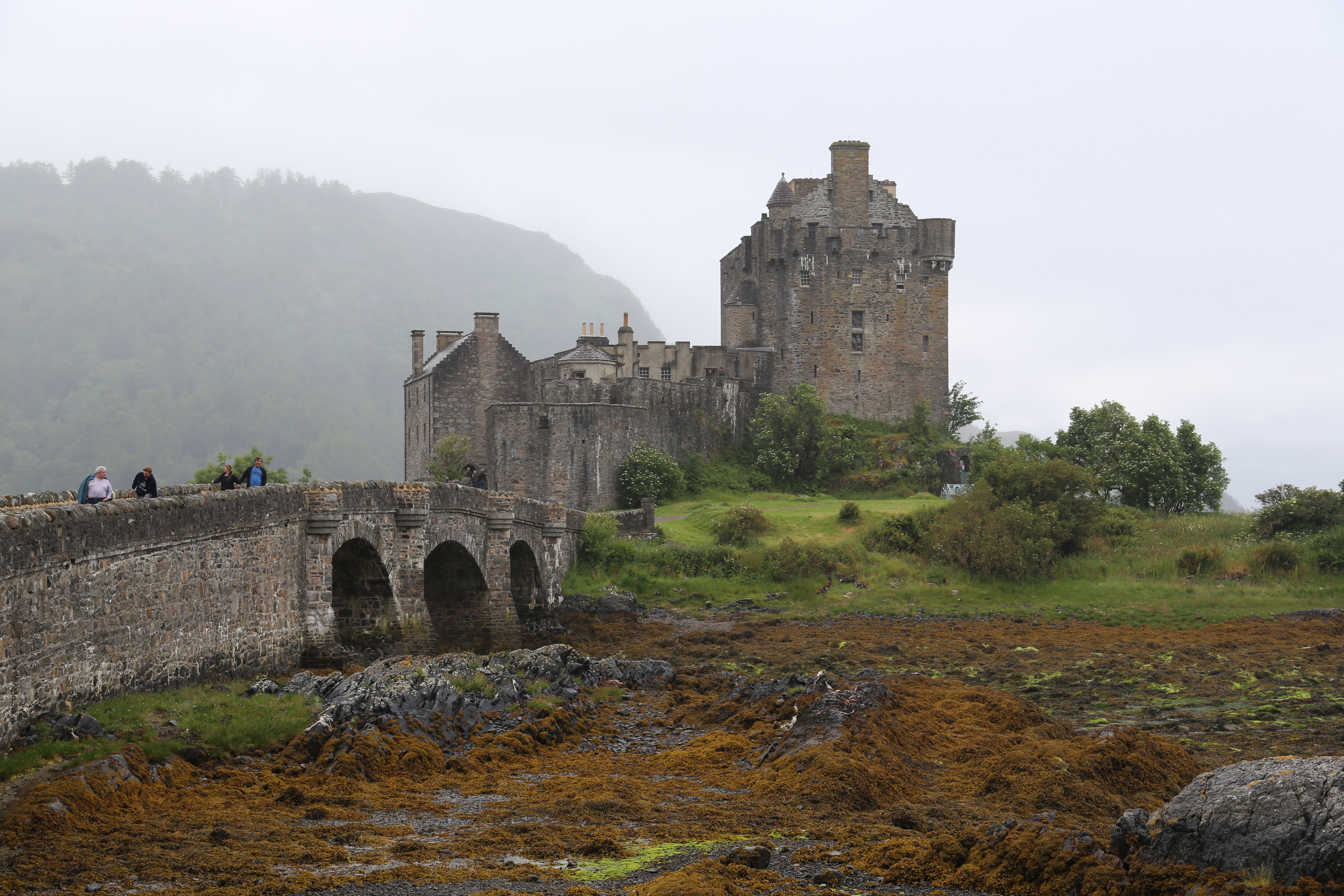 2014 Europe Trip Day 27 - Scotland (Muesli, Hogwarts Express Train (Jacobite Steam Train, Glenfinnan Viaduct), Fort William, Ben Nevis, Highland Bagpiper, Eilean Donan Castle, Isle of Skye, Portree, Old Man of Storr, Kilt Rock, Uig, Quiraing, Peat Fields)