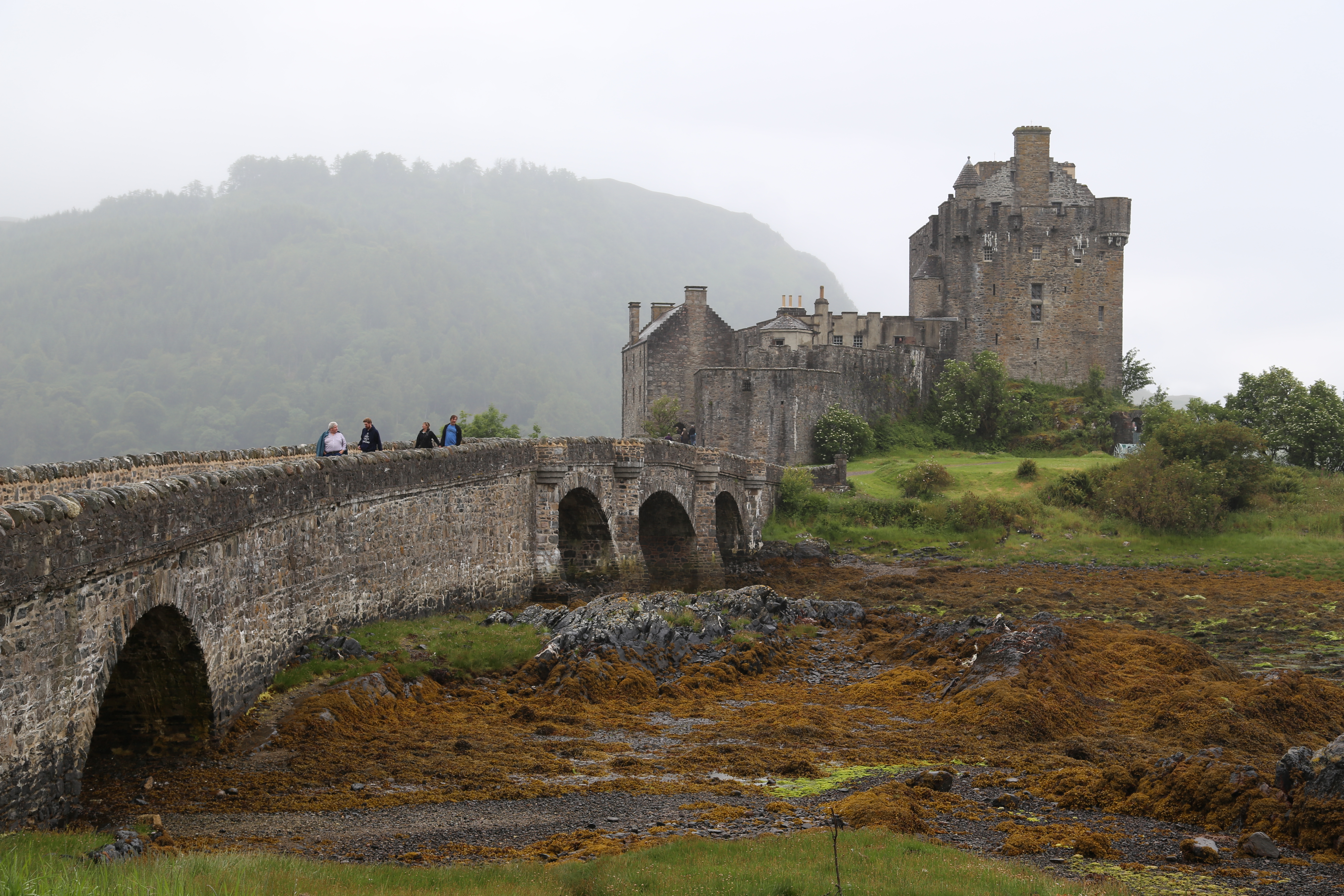 2014 Europe Trip Day 27 - Scotland (Muesli, Hogwarts Express Train (Jacobite Steam Train, Glenfinnan Viaduct), Fort William, Ben Nevis, Highland Bagpiper, Eilean Donan Castle, Isle of Skye, Portree, Old Man of Storr, Kilt Rock, Uig, Quiraing, Peat Fields)