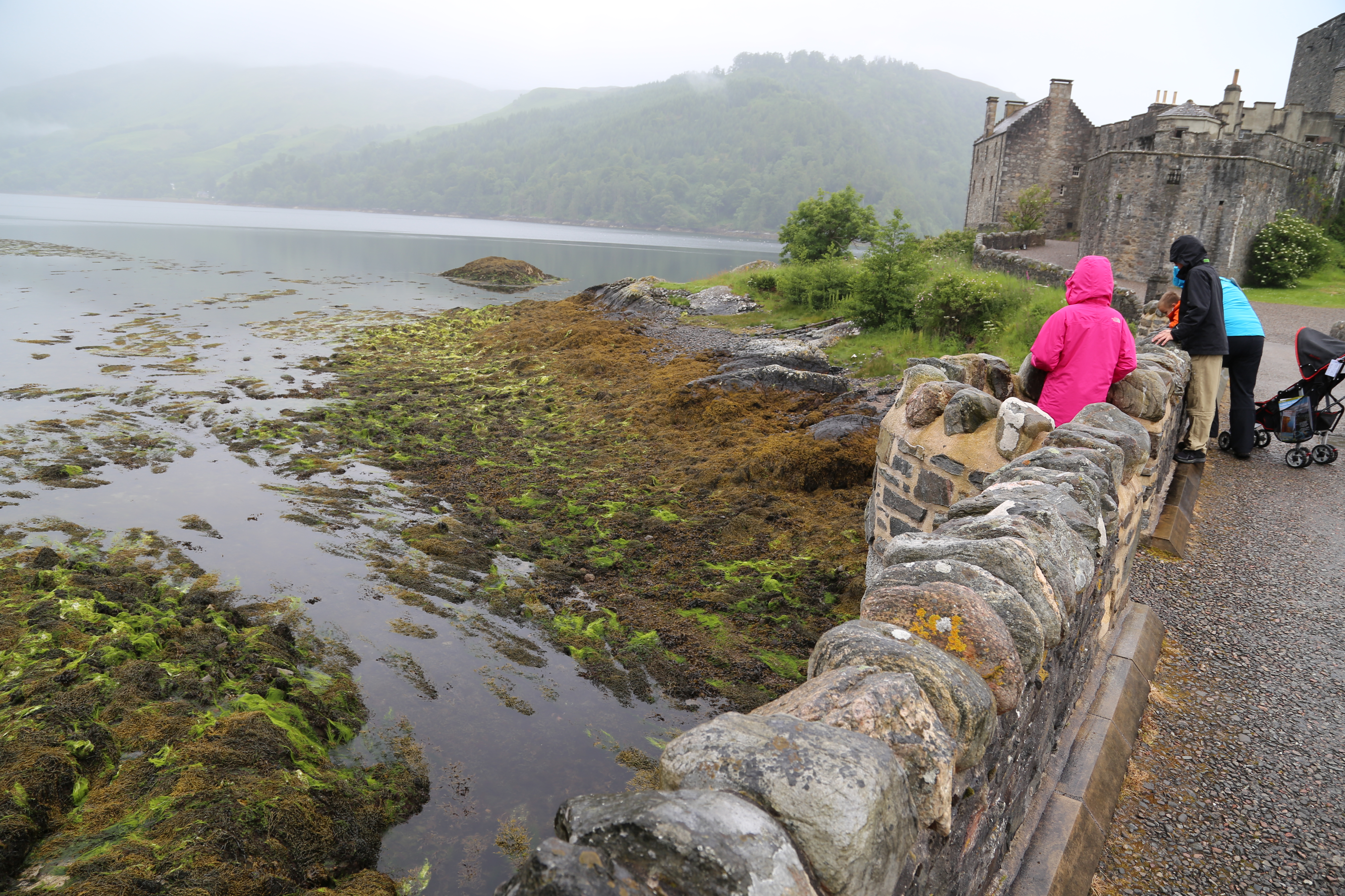 2014 Europe Trip Day 27 - Scotland (Muesli, Hogwarts Express Train (Jacobite Steam Train, Glenfinnan Viaduct), Fort William, Ben Nevis, Highland Bagpiper, Eilean Donan Castle, Isle of Skye, Portree, Old Man of Storr, Kilt Rock, Uig, Quiraing, Peat Fields)