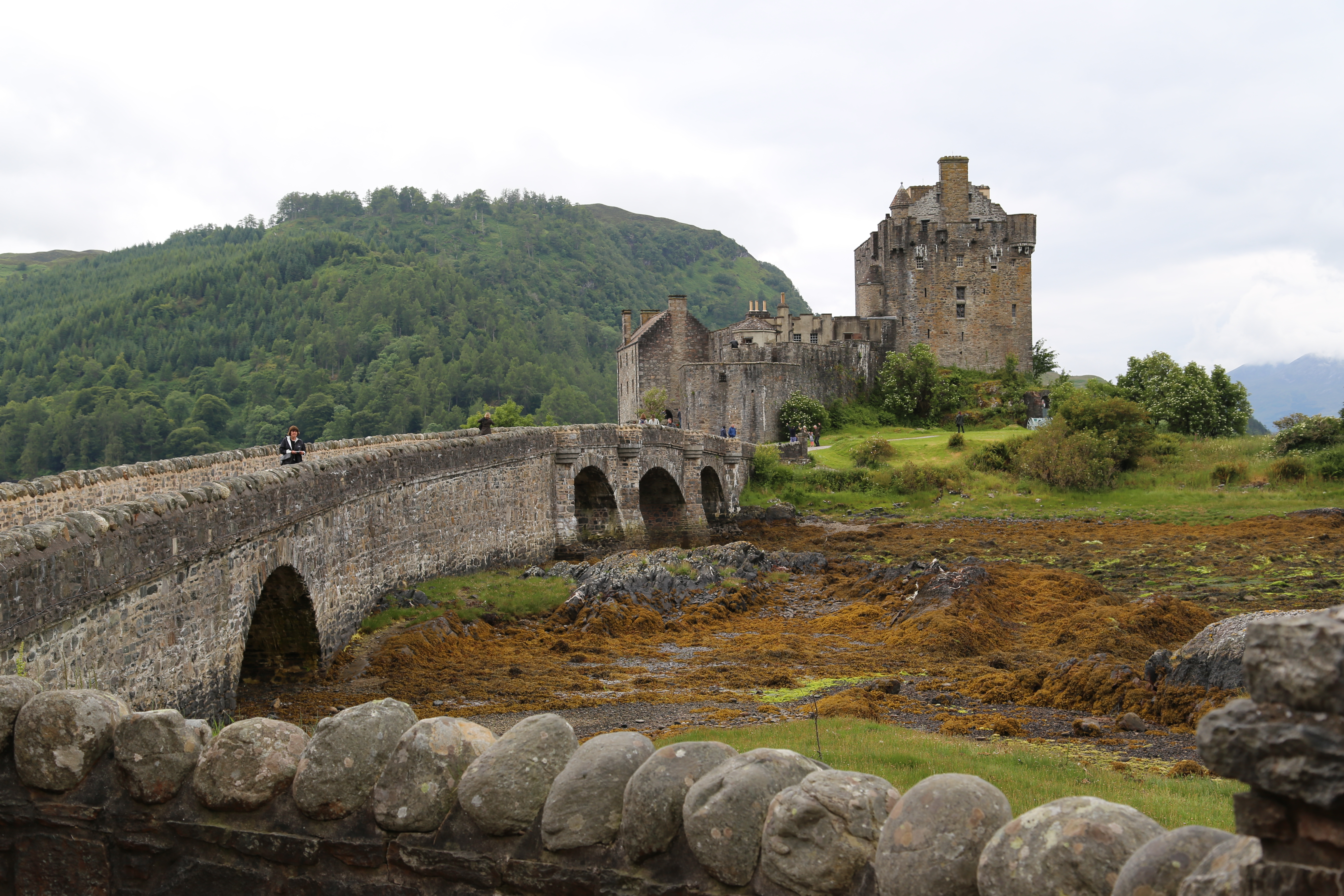 2014 Europe Trip Day 27 - Scotland (Muesli, Hogwarts Express Train (Jacobite Steam Train, Glenfinnan Viaduct), Fort William, Ben Nevis, Highland Bagpiper, Eilean Donan Castle, Isle of Skye, Portree, Old Man of Storr, Kilt Rock, Uig, Quiraing, Peat Fields)