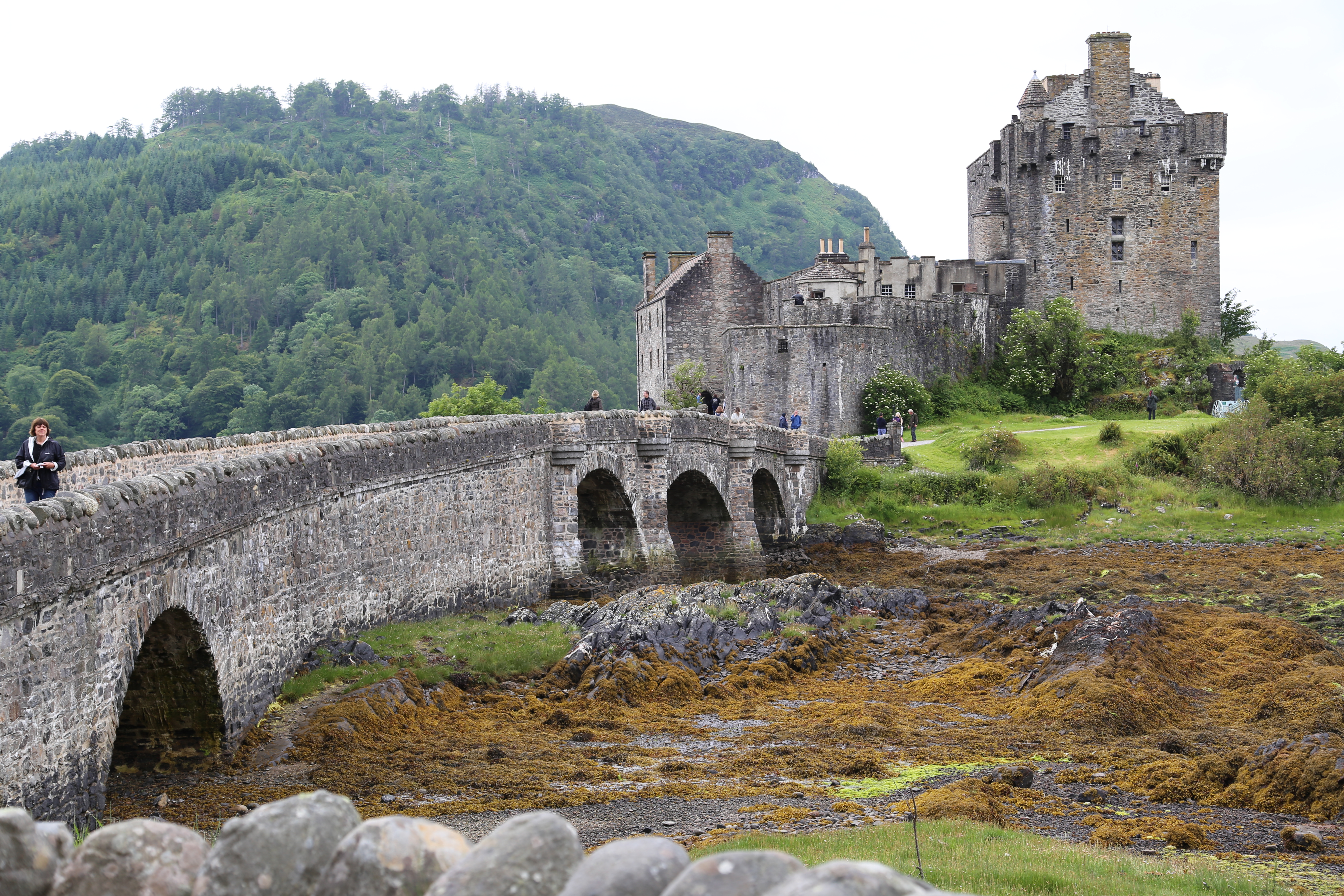 2014 Europe Trip Day 27 - Scotland (Muesli, Hogwarts Express Train (Jacobite Steam Train, Glenfinnan Viaduct), Fort William, Ben Nevis, Highland Bagpiper, Eilean Donan Castle, Isle of Skye, Portree, Old Man of Storr, Kilt Rock, Uig, Quiraing, Peat Fields)