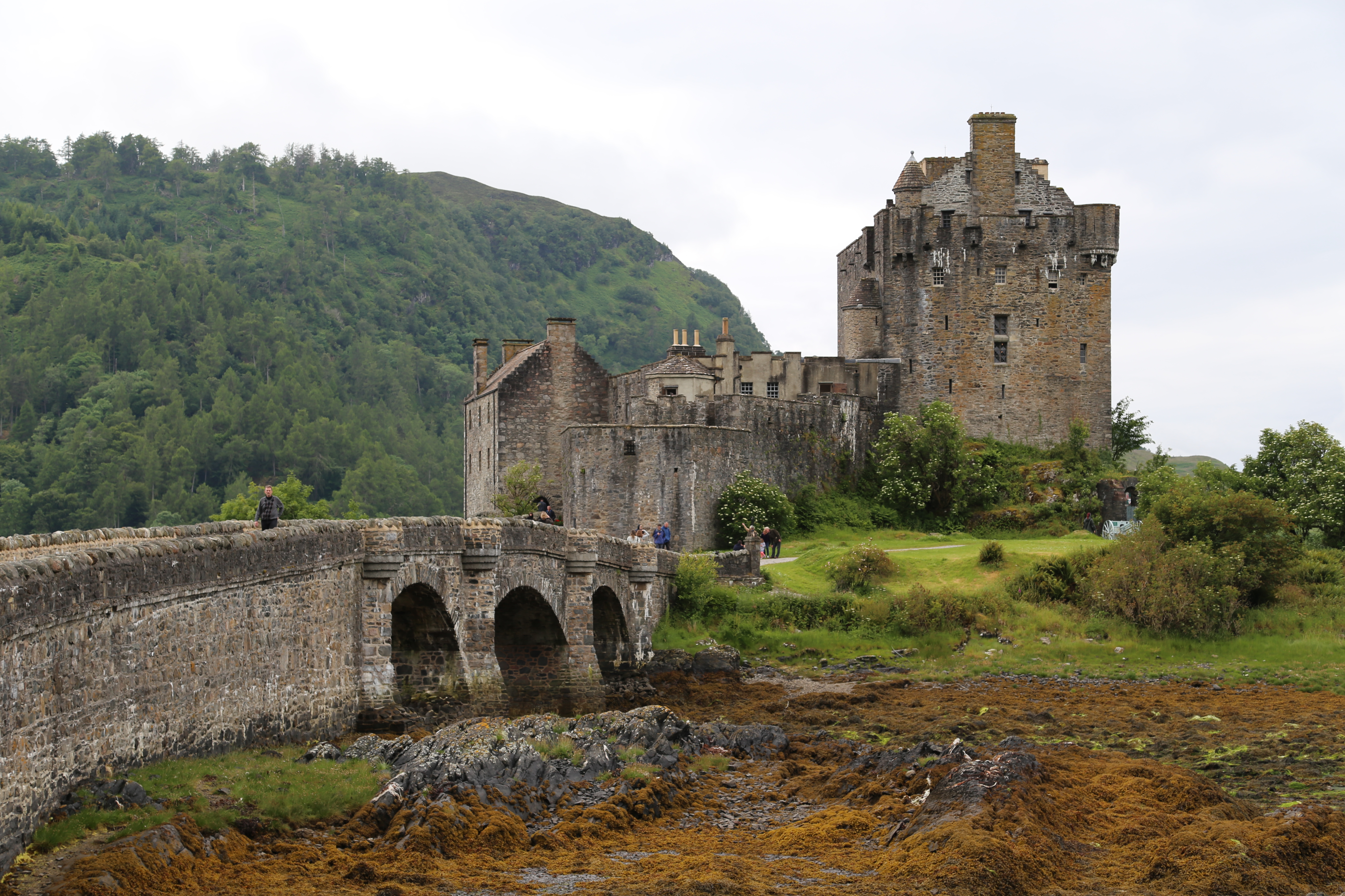 2014 Europe Trip Day 27 - Scotland (Muesli, Hogwarts Express Train (Jacobite Steam Train, Glenfinnan Viaduct), Fort William, Ben Nevis, Highland Bagpiper, Eilean Donan Castle, Isle of Skye, Portree, Old Man of Storr, Kilt Rock, Uig, Quiraing, Peat Fields)